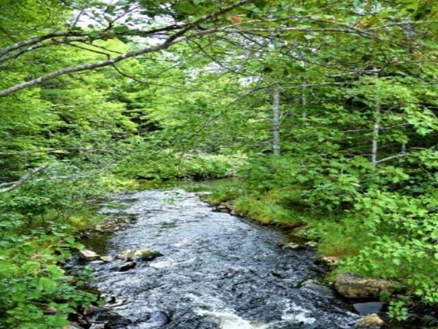 Unit 60 Meek Arm Trail, East Uniacke, NS (MLS 202520366)