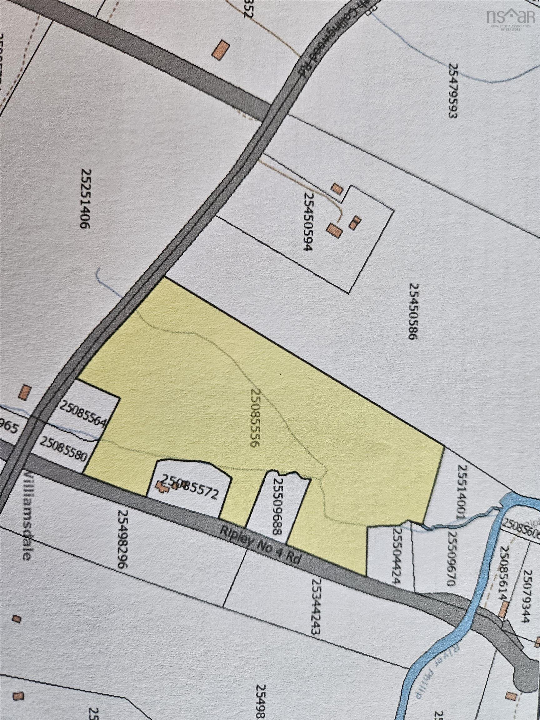 Ripley #4 Road, Williamsdale, NS (MLS® 202520893)