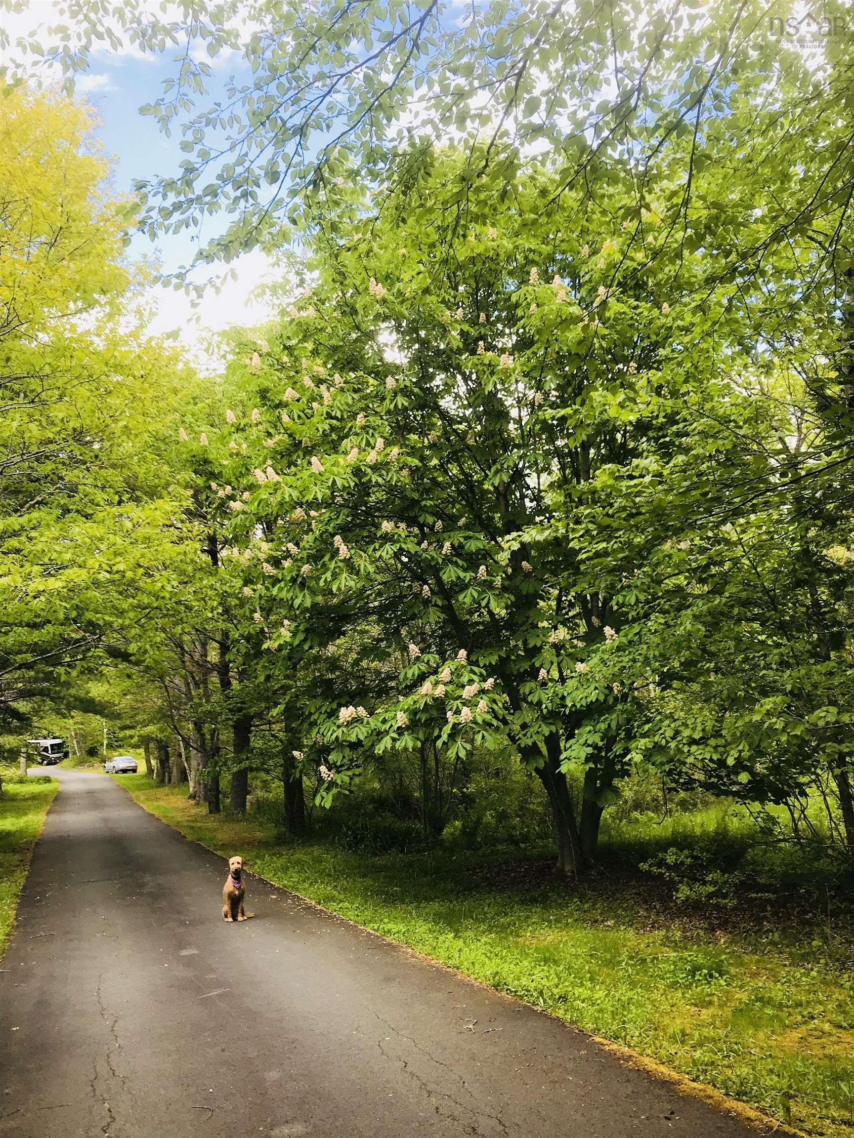 15 Cottage Lane, Windsor Junction, NS (MLS® 202521027)