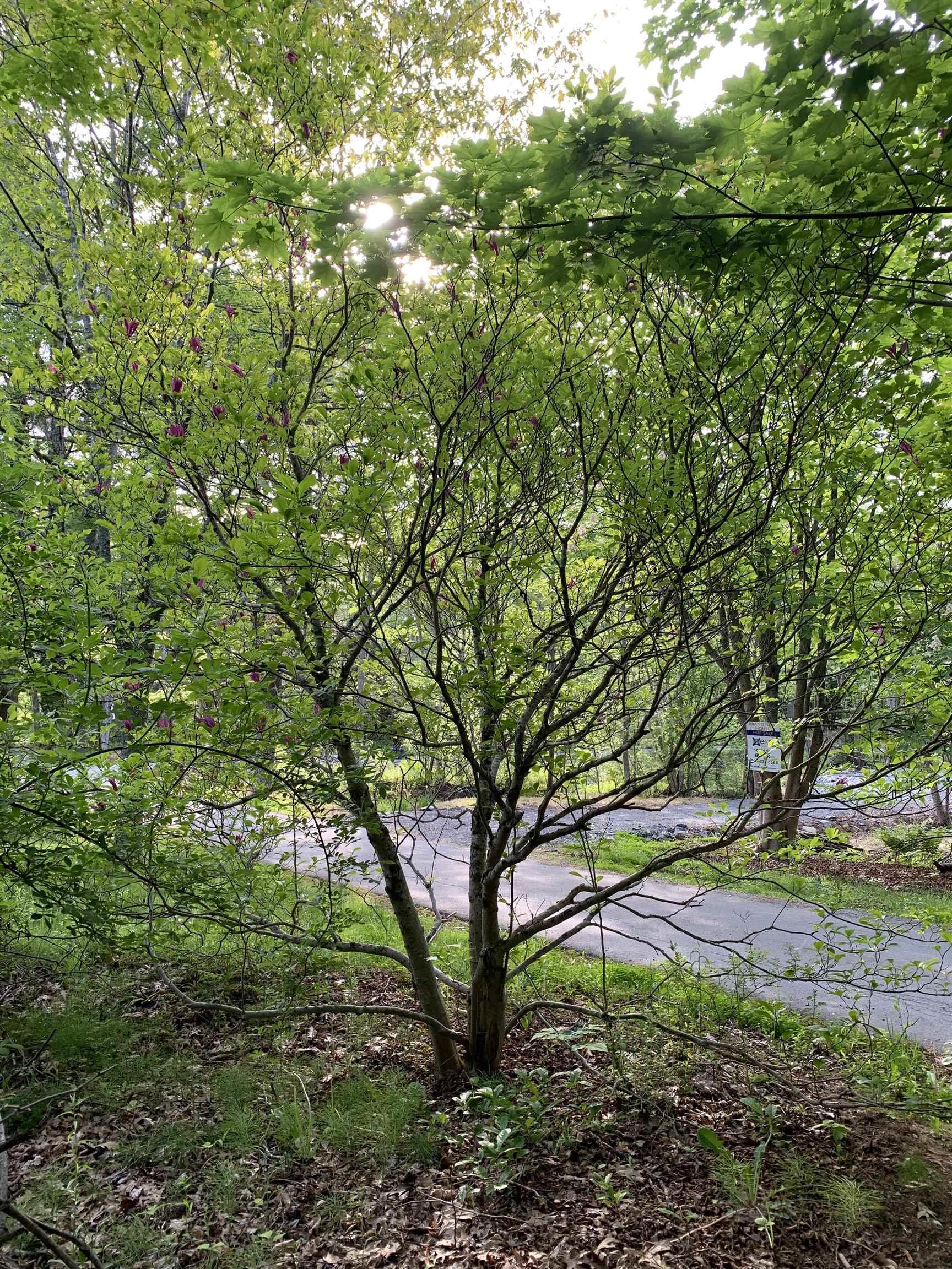 15 Cottage Lane, Windsor Junction, NS (MLS 202521027)