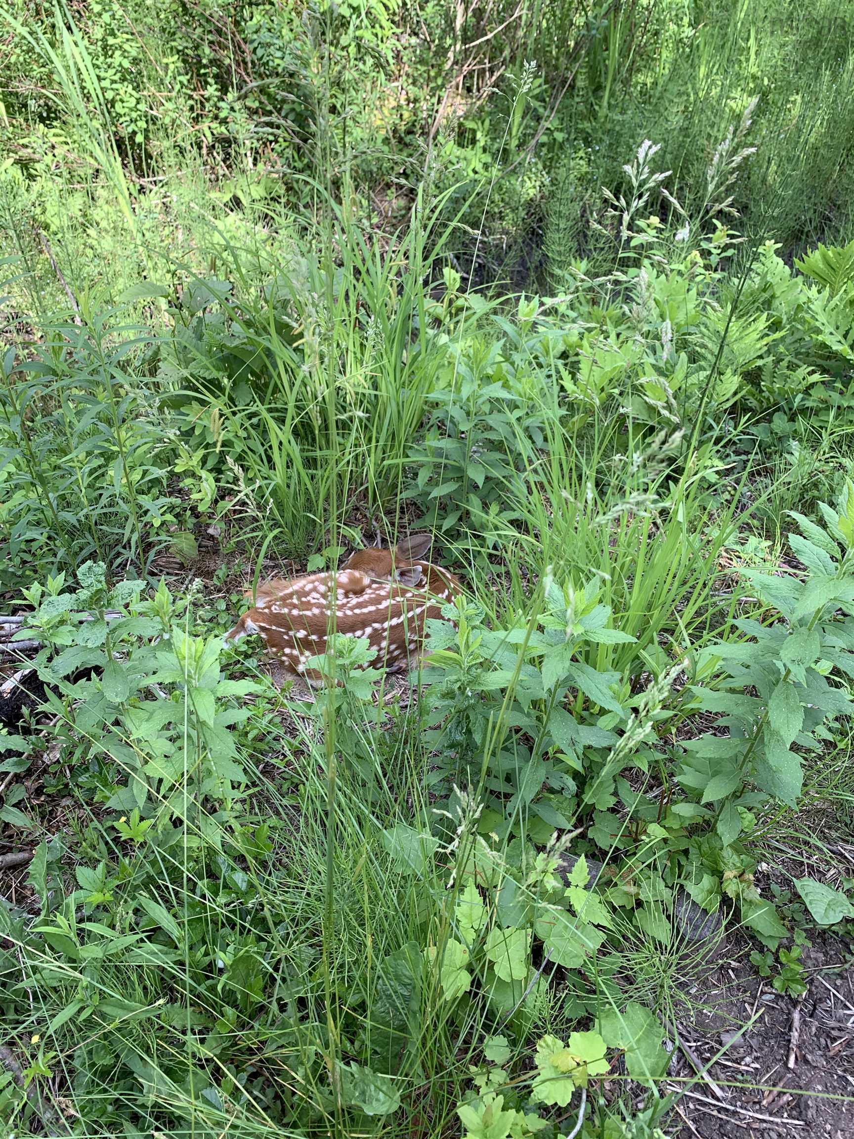 15 Cottage Lane, Windsor Junction, NS (MLS 202521027)