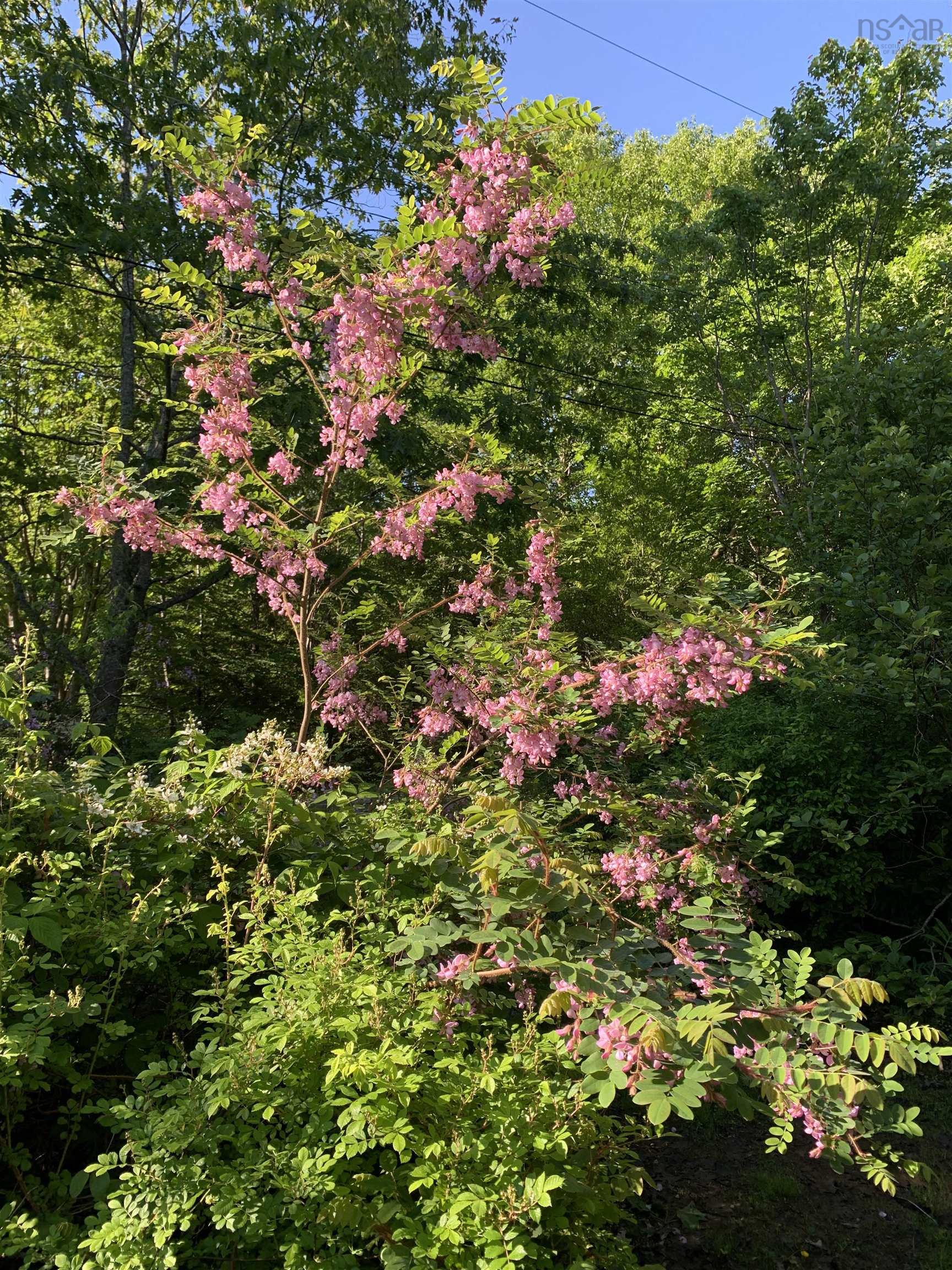 15 Cottage Lane, Windsor Junction, NS (MLS 202521027)