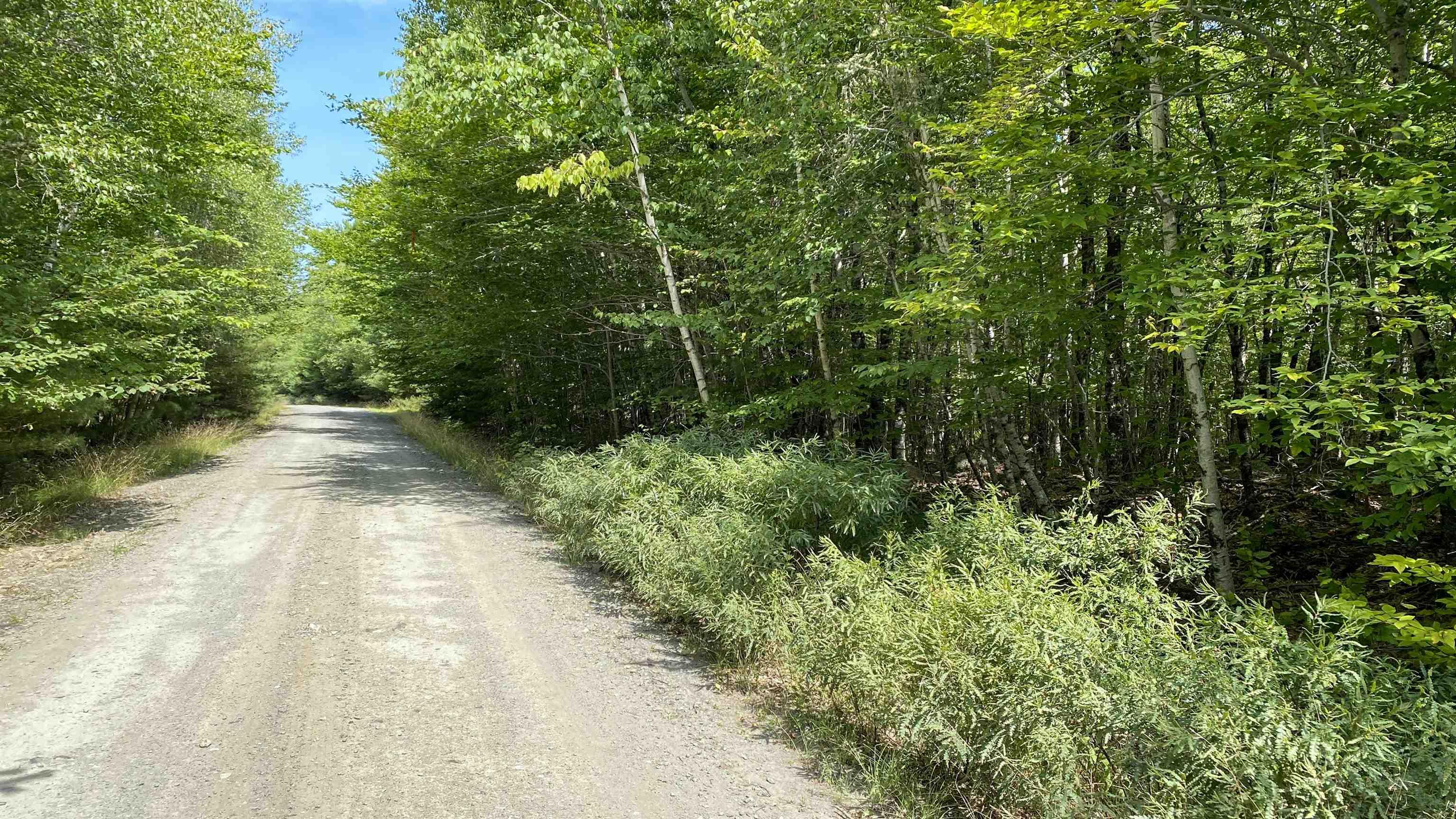 Lot 18 Peters Point Road, South Brookfield, NS (MLS 202521186)