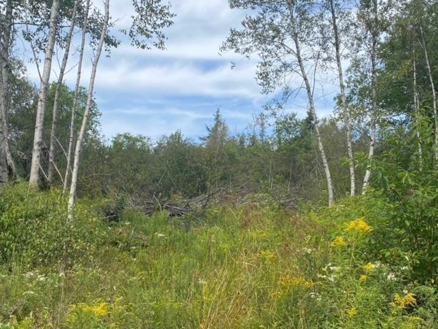 18 Adalynn Lane, Wyses Corner, NS (MLS 202521200)