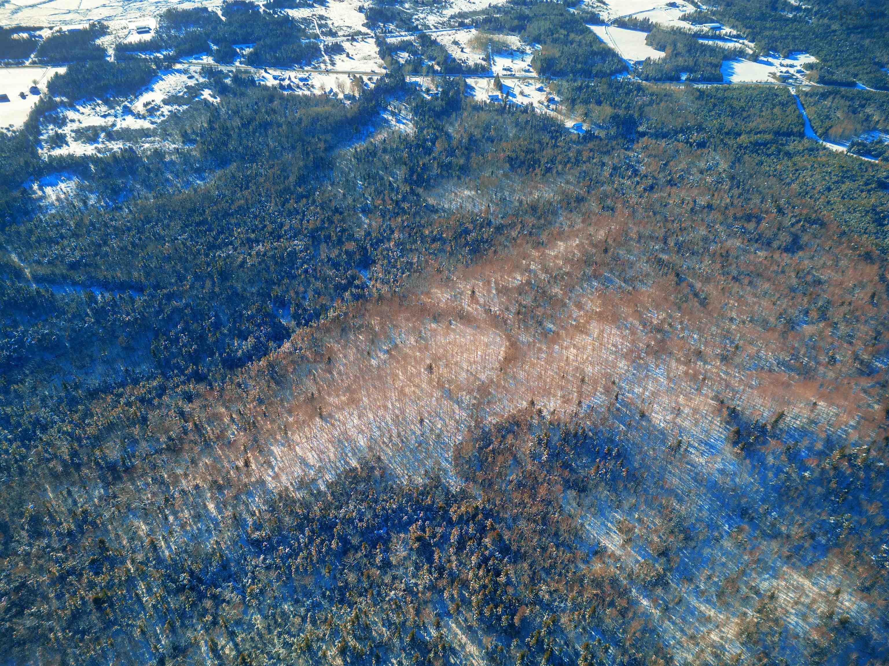 $139,900.00: 4 5049 (P) Road, Long Point