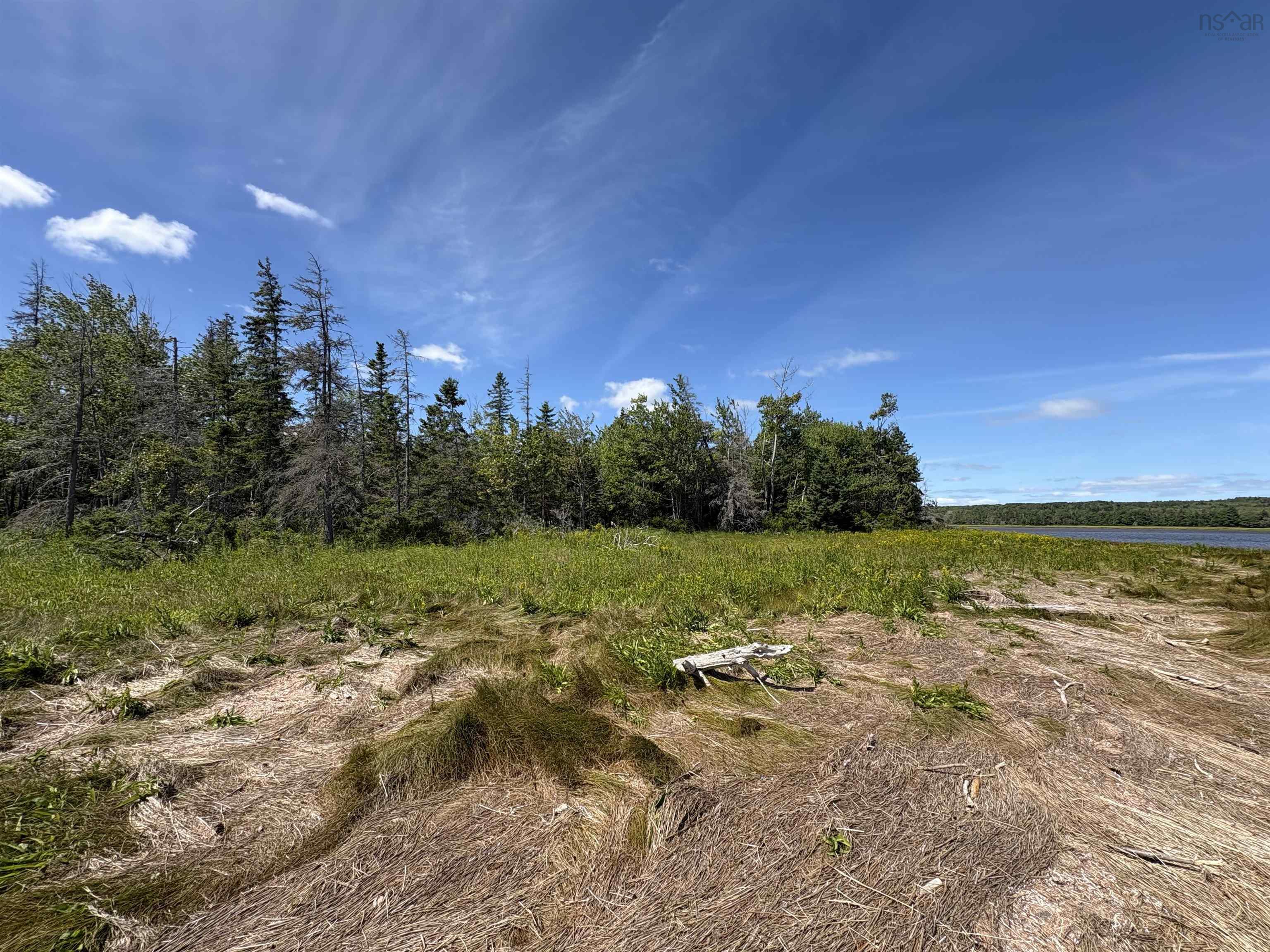 Lot 07-4 Thompson Road, Pugwash River, NS (MLS® 202521426)