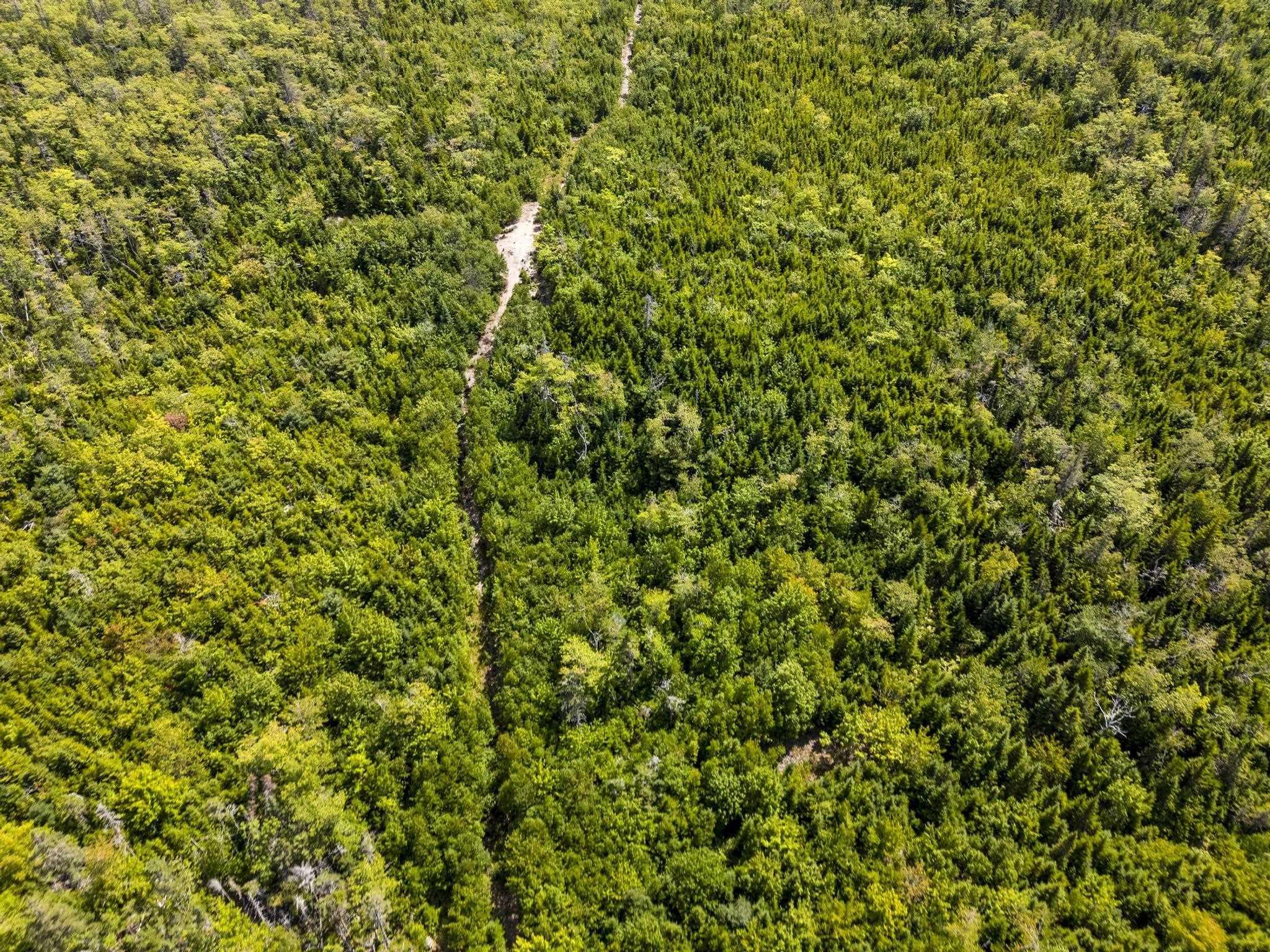 166 Hillside Drive, Boutiliers Point, NS (MLS 202521596)