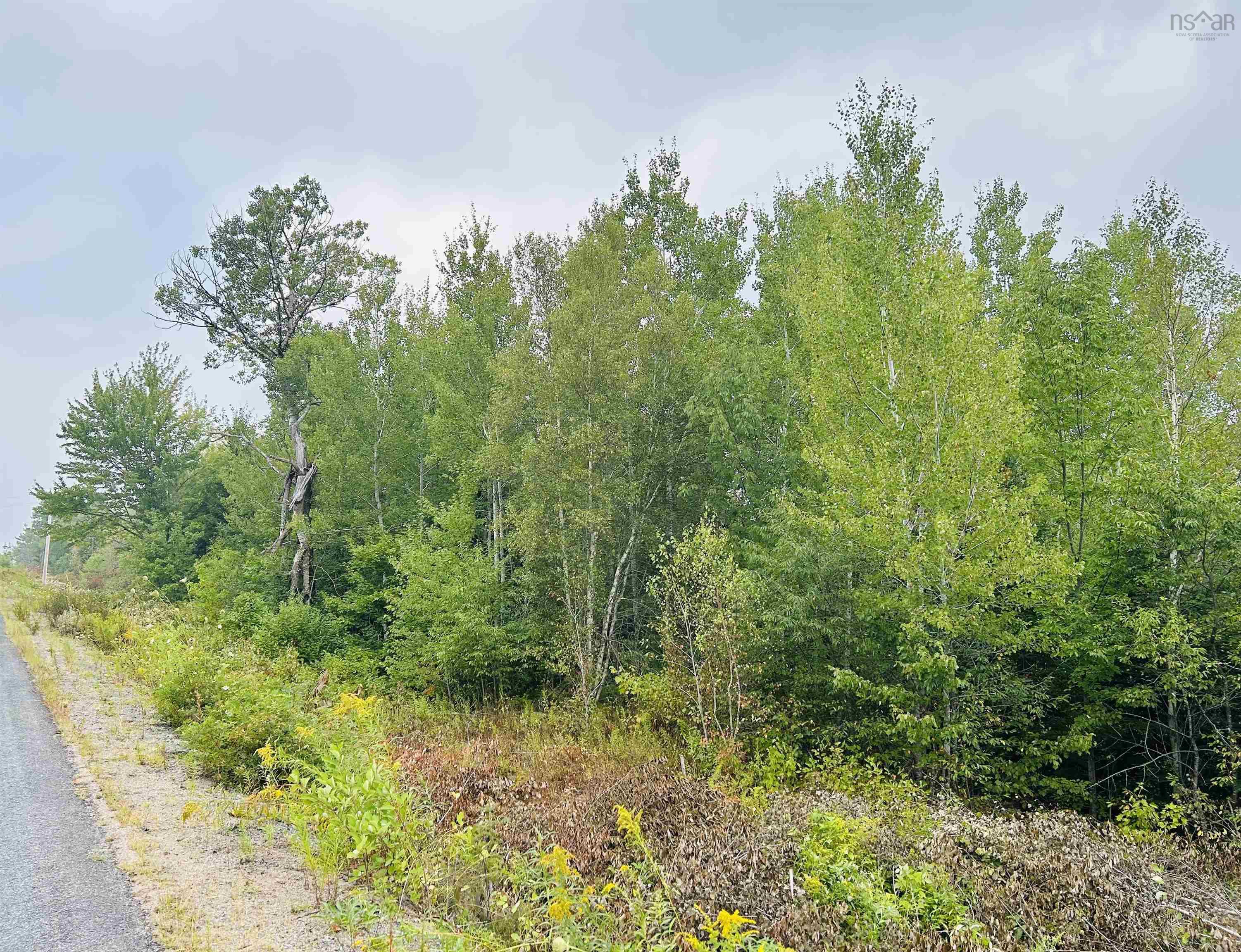 $35,000.00: Lot Alpena Road, East Inglisville