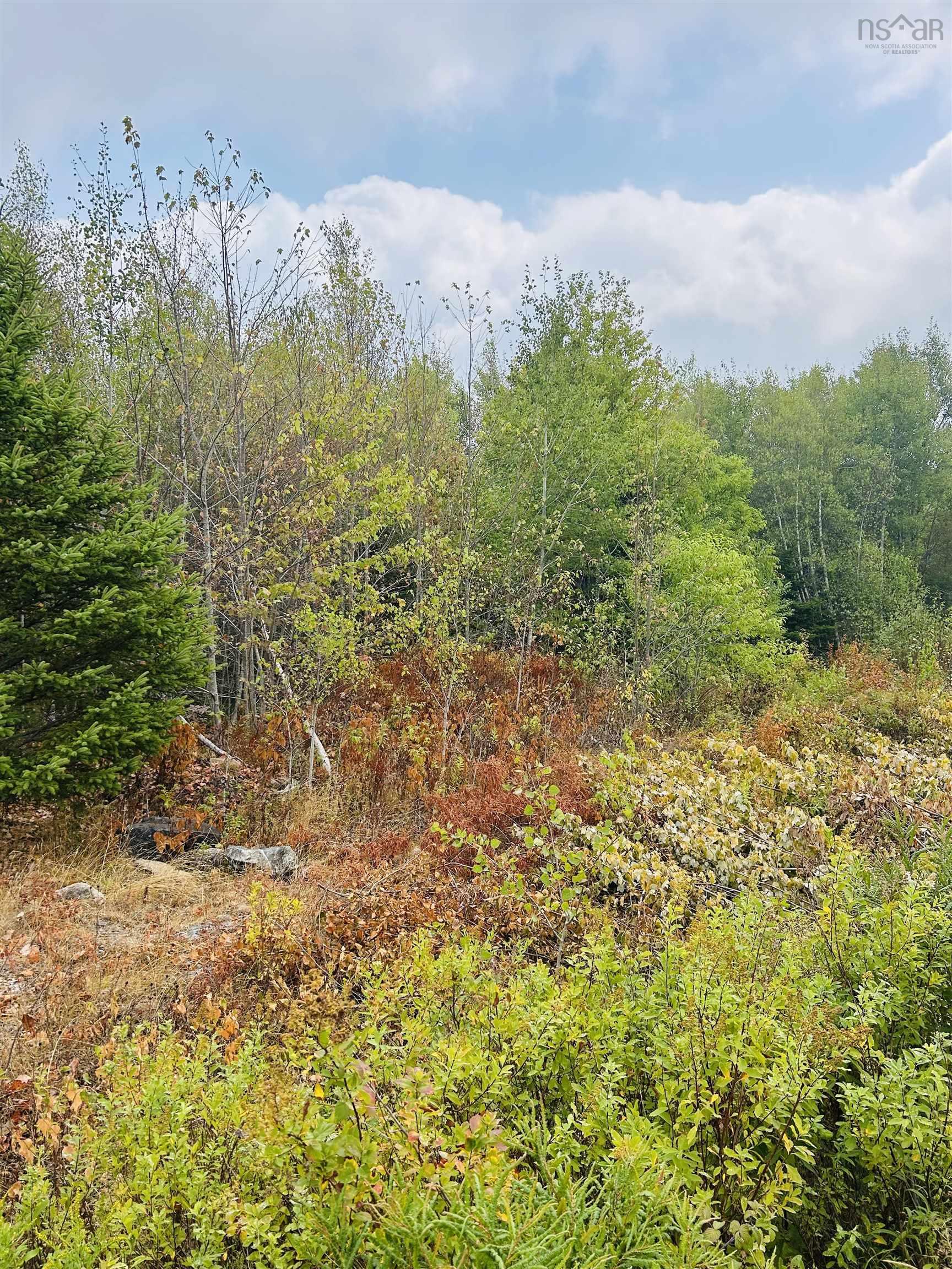 $35,000.00: Lot Alpena Road, East Inglisville