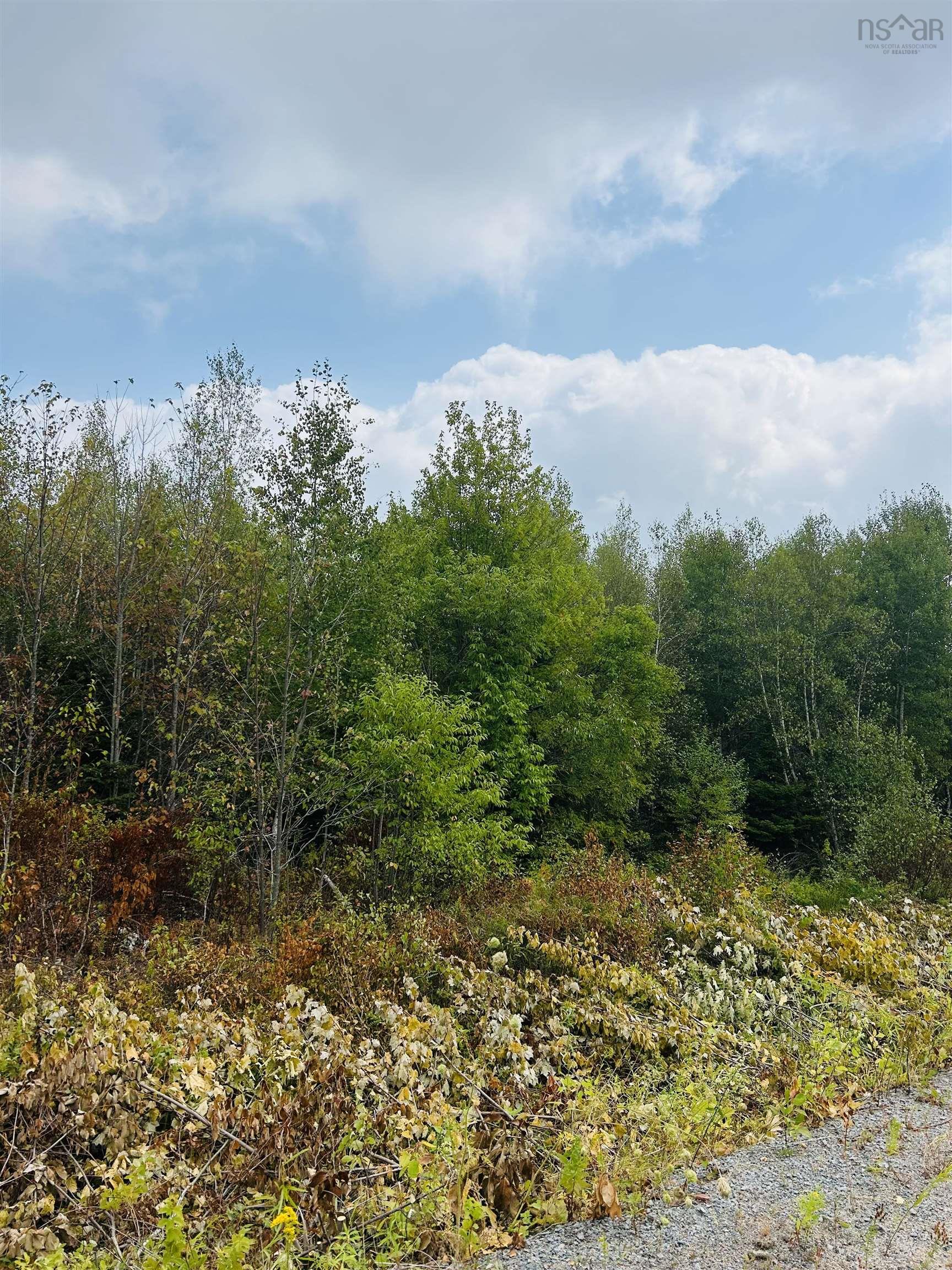 $35,000.00: Lot Alpena Road, East Inglisville