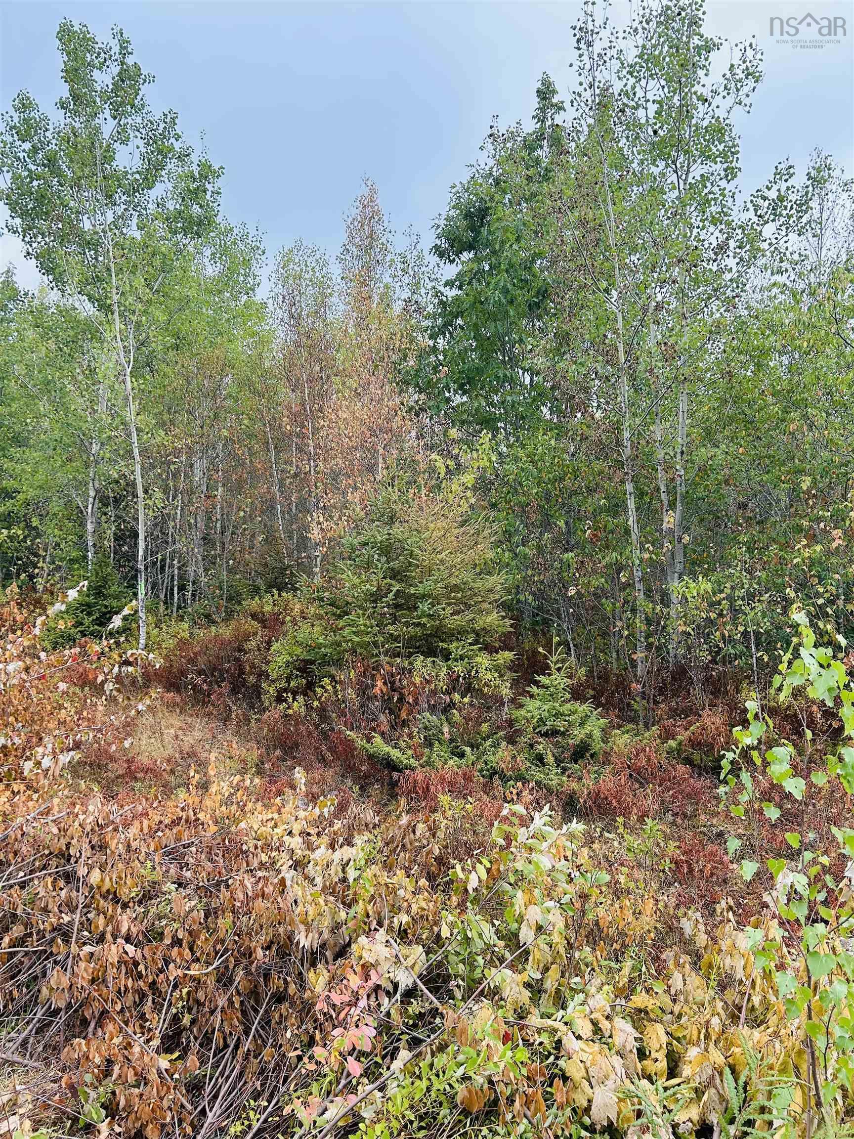 $35,000.00: Lot Alpena Road, East Inglisville