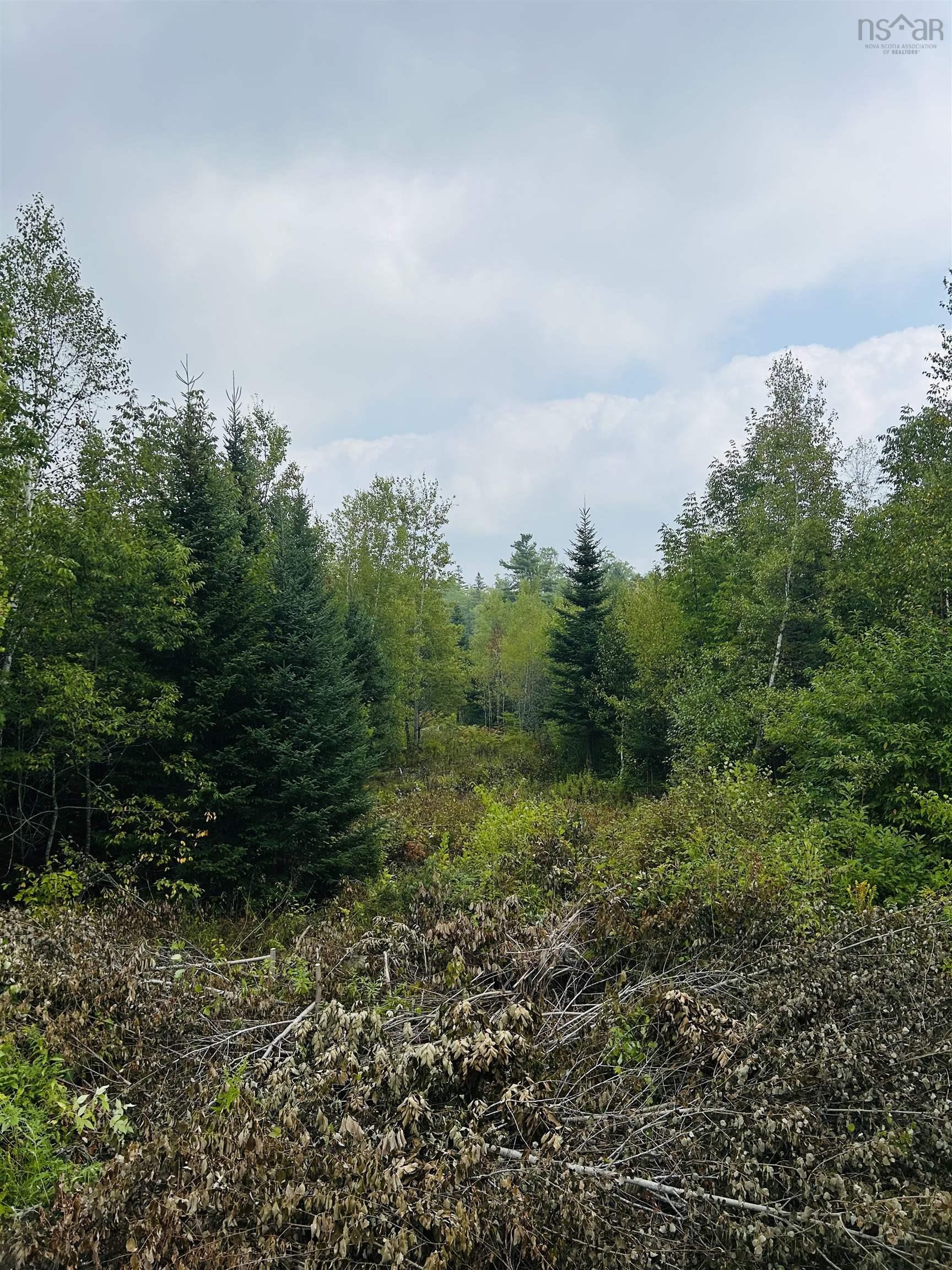 $35,000.00: Lot Alpena Road, East Inglisville