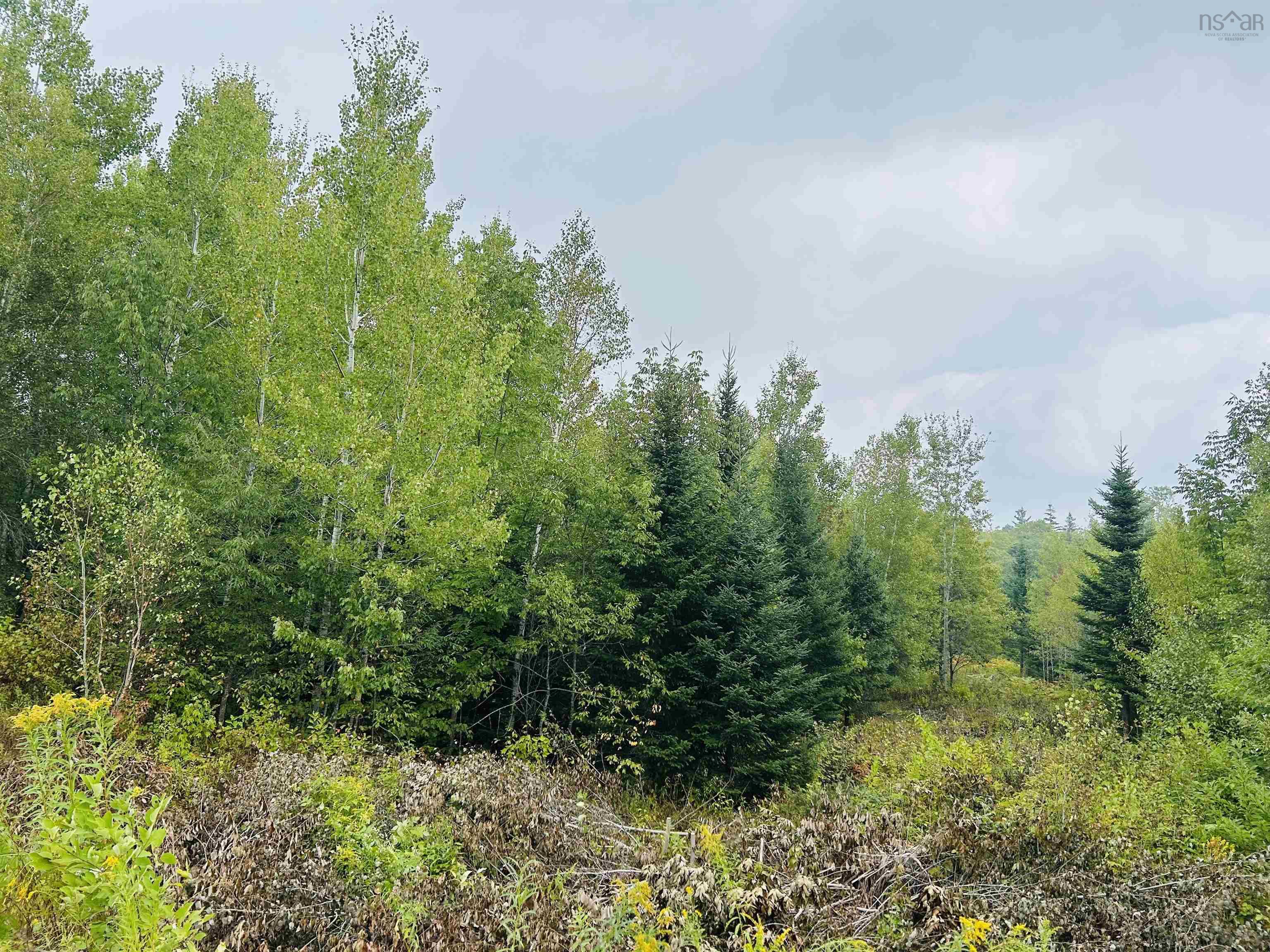 $35,000.00: Lot Alpena Road, East Inglisville