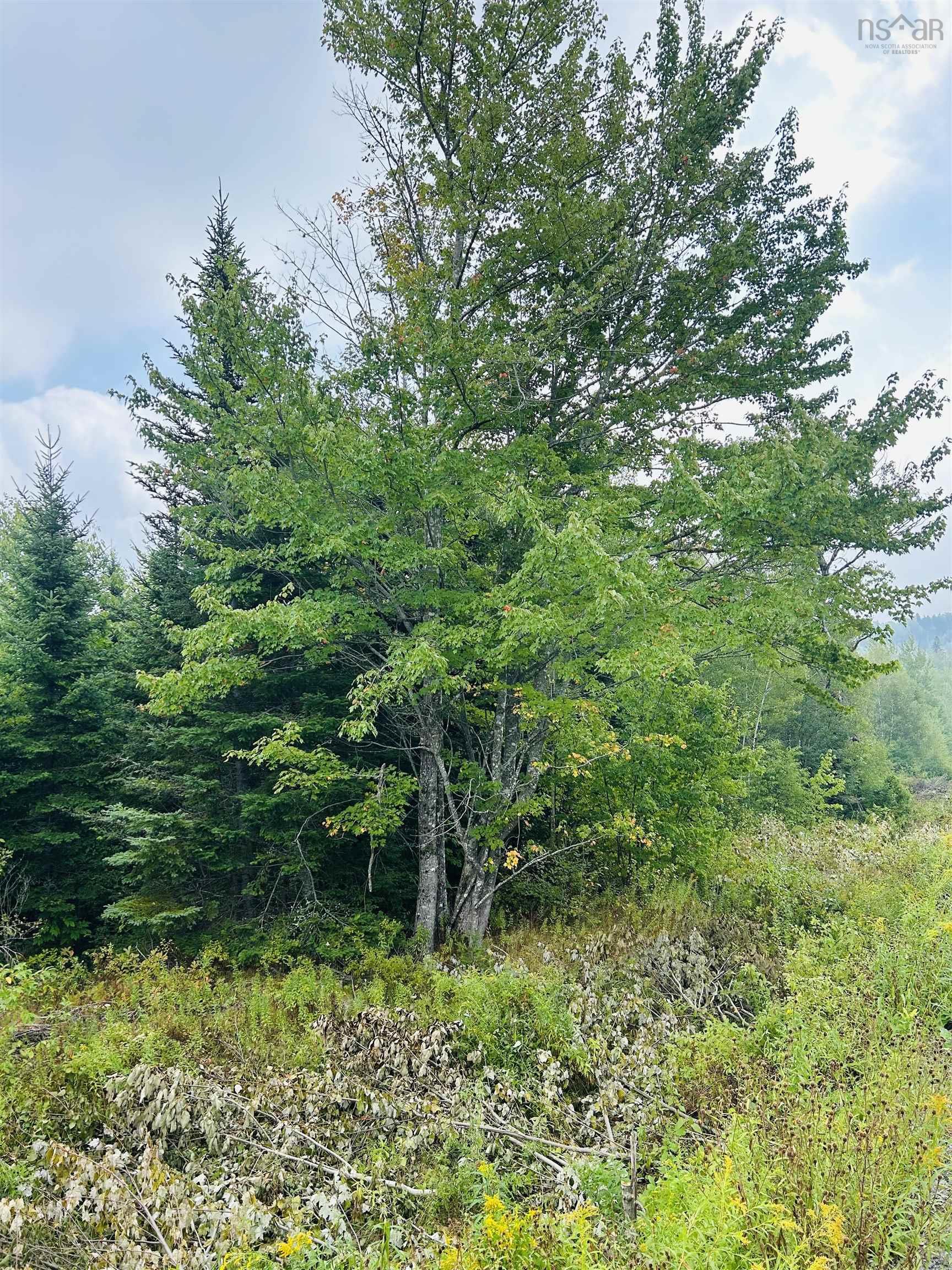 $35,000.00: Lot Alpena Road, East Inglisville