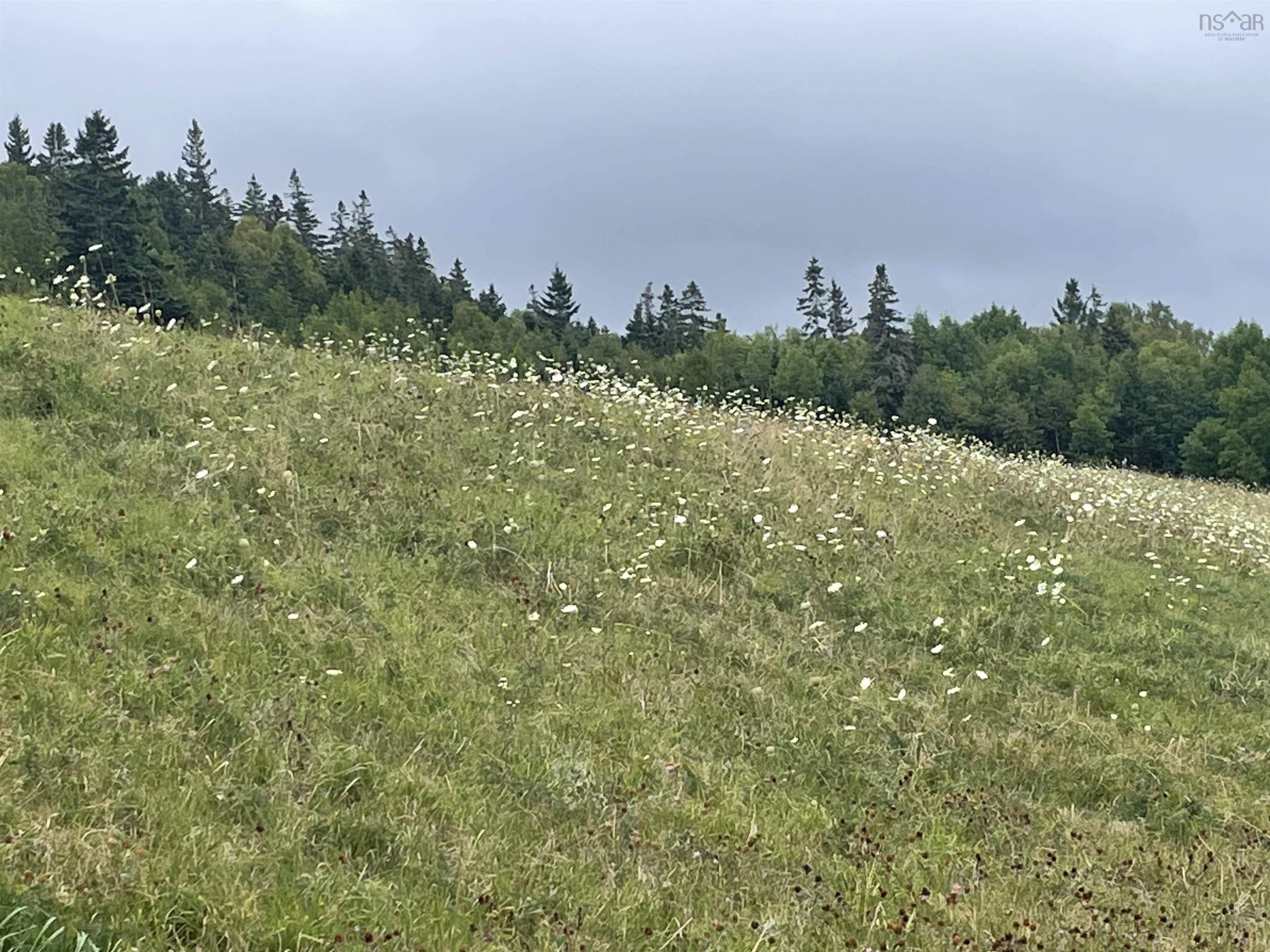 $139,000.00: 204 Highway, Irish Cove