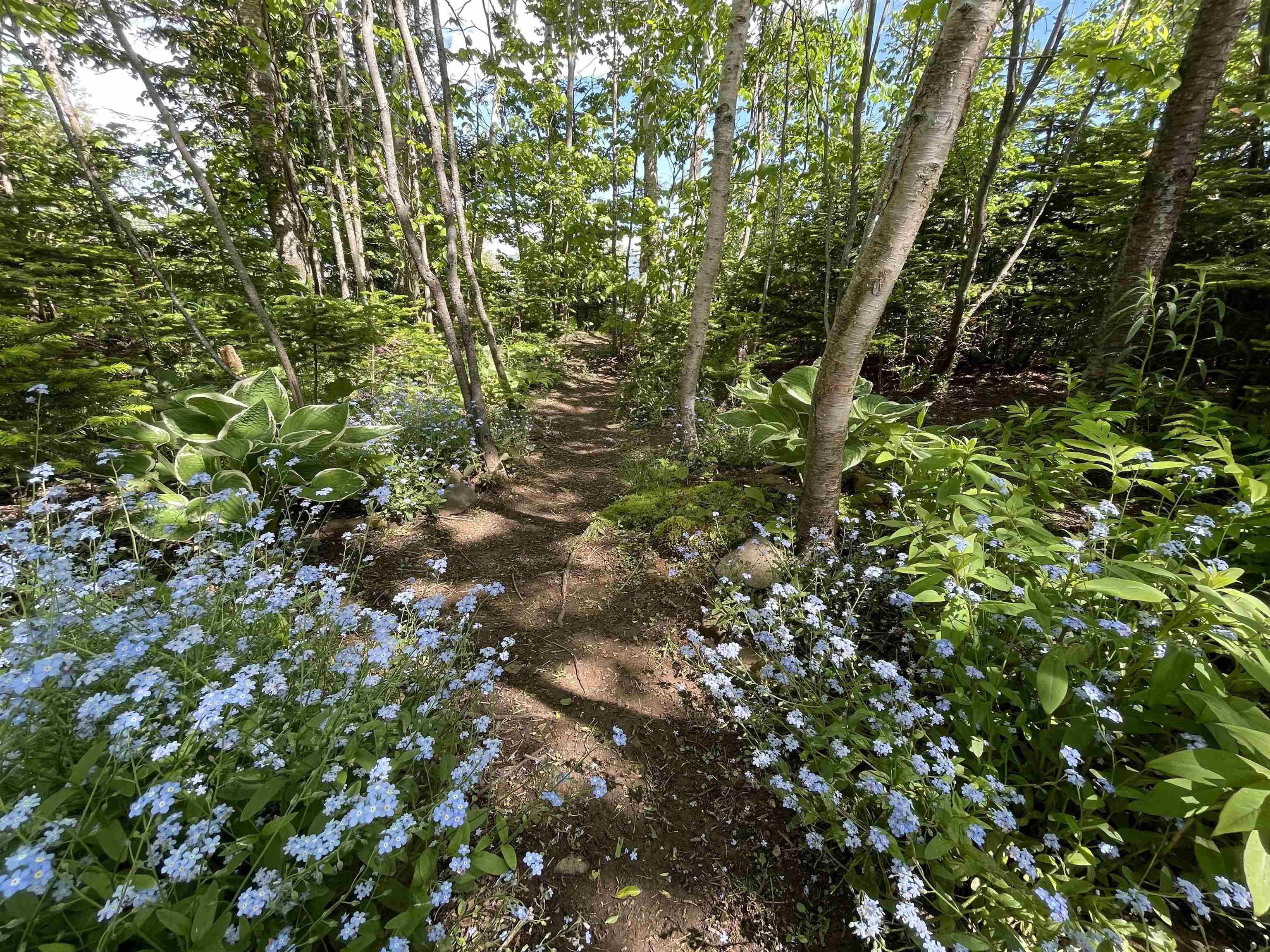 $672,500.00: 5067 Kempt Head Road, Southside Boularderie