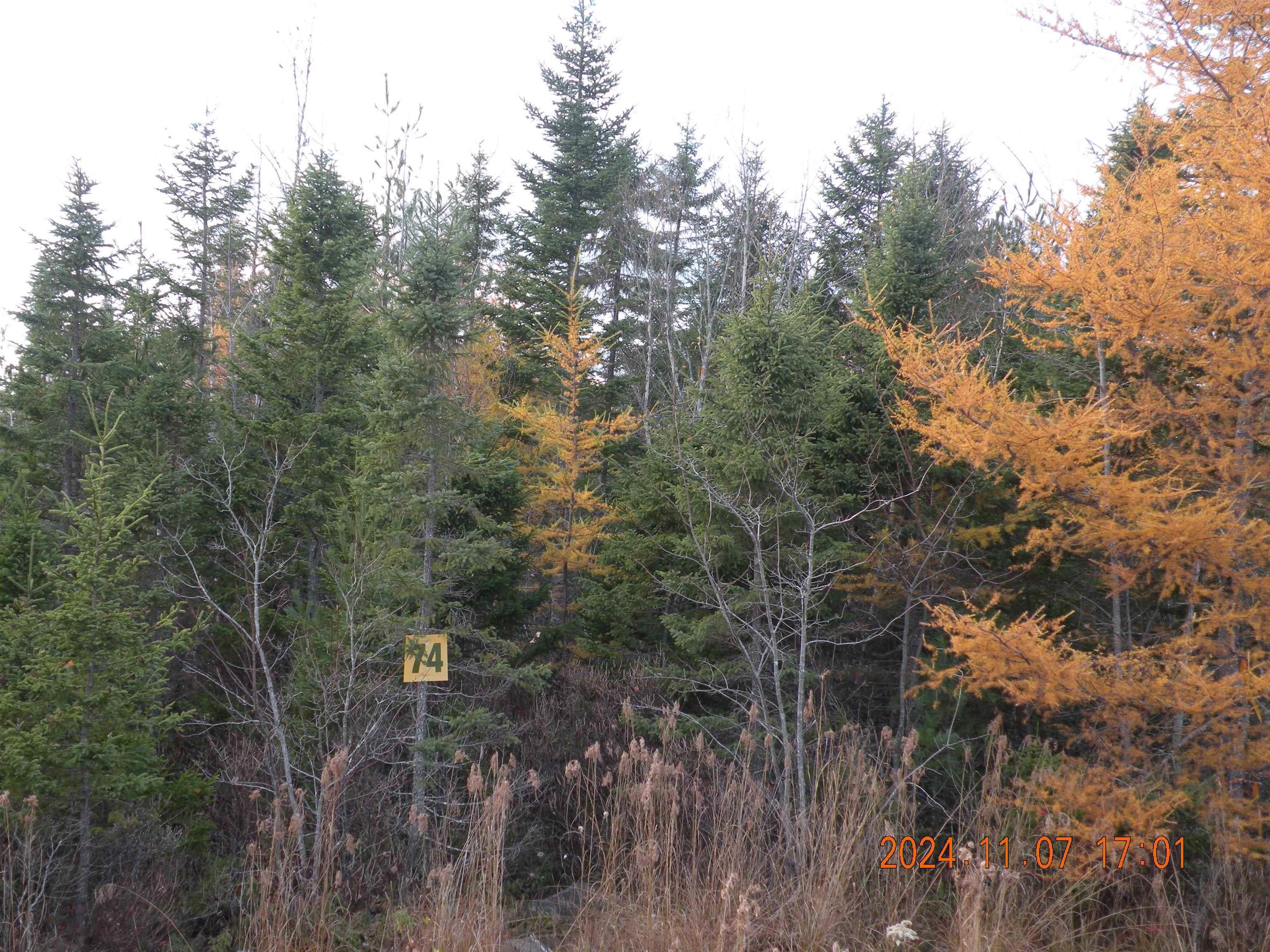 $699,900.00: 74 Meek Arm Trail, East Uniacke