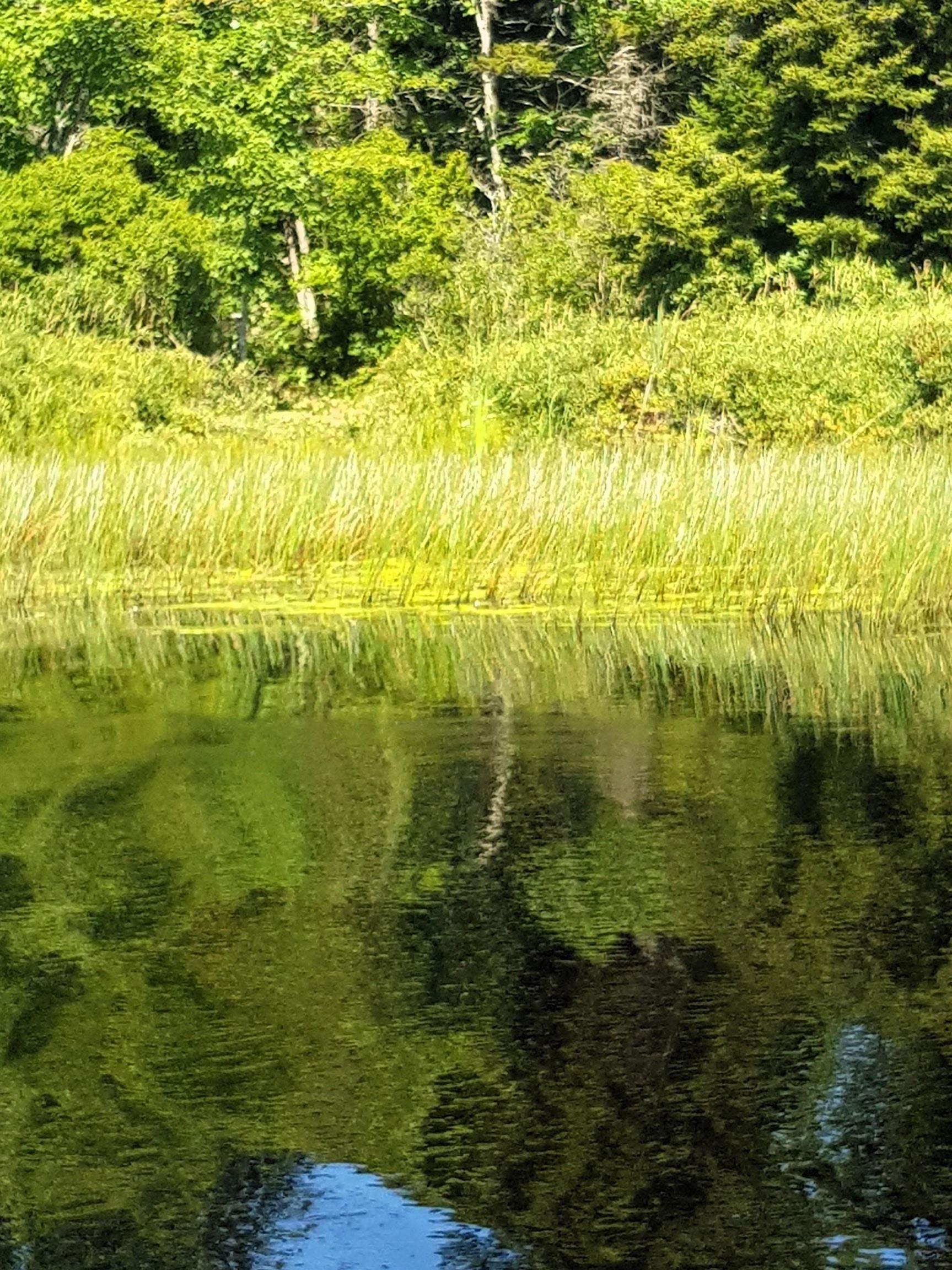 $97,700.00: Lot Middle Road, Fort Lawrence