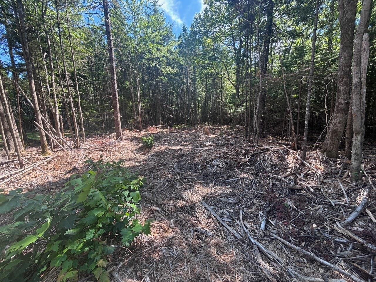 11a Nicholas Drive, Hammonds Plains, NS (MLS® 202522556) | Hammonds Plains Real Estate | RE/MAX Halifax