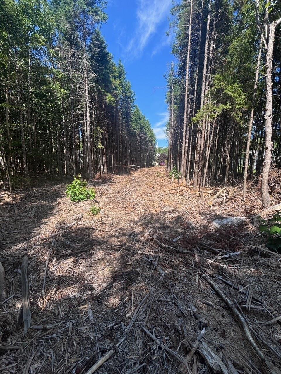 11a Nicholas Drive, Hammonds Plains, NS (MLS 202522556)