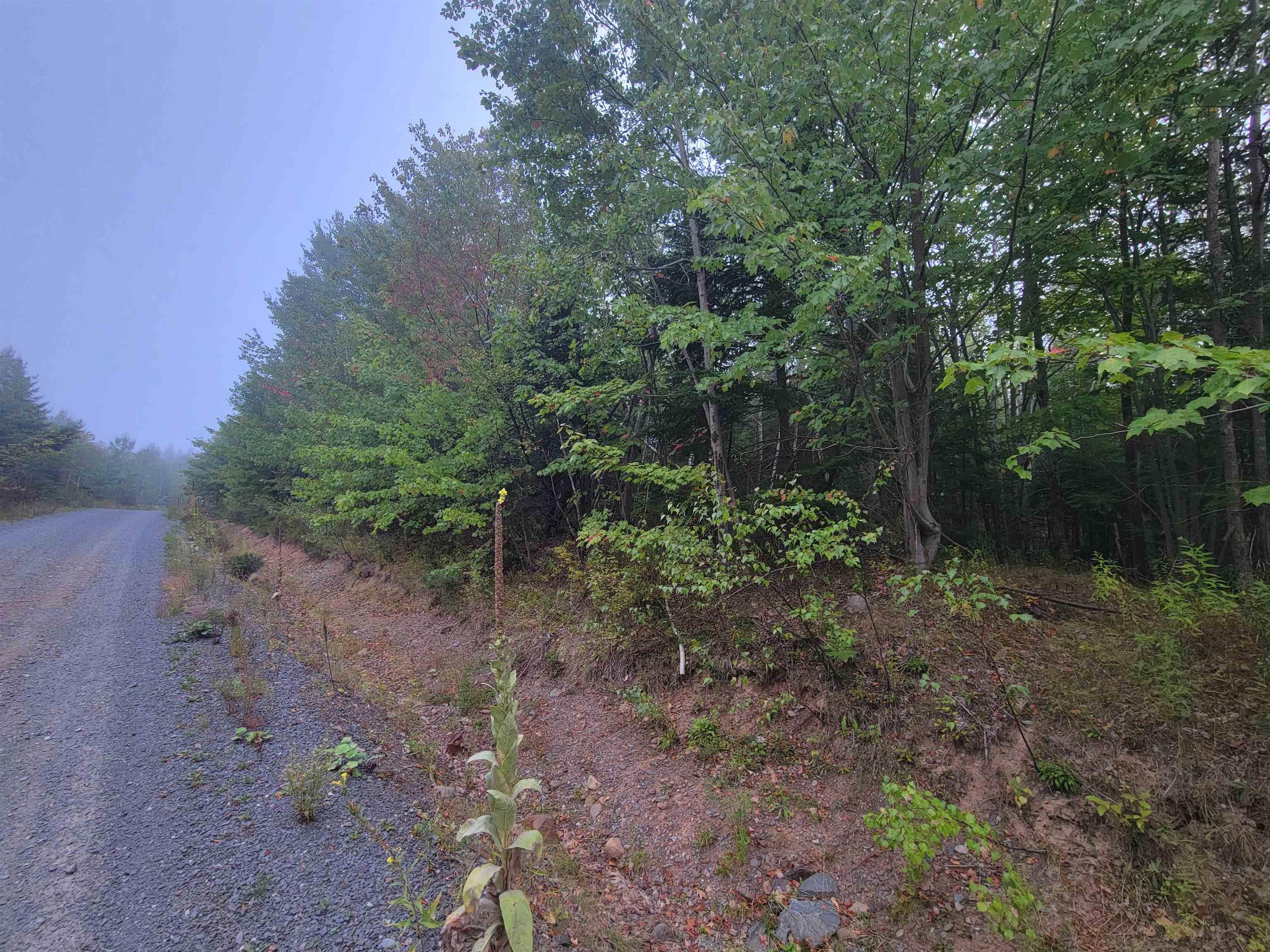 Lot 1 Wilson Road, Upper Rawdon, NS (MLS® 202522563)