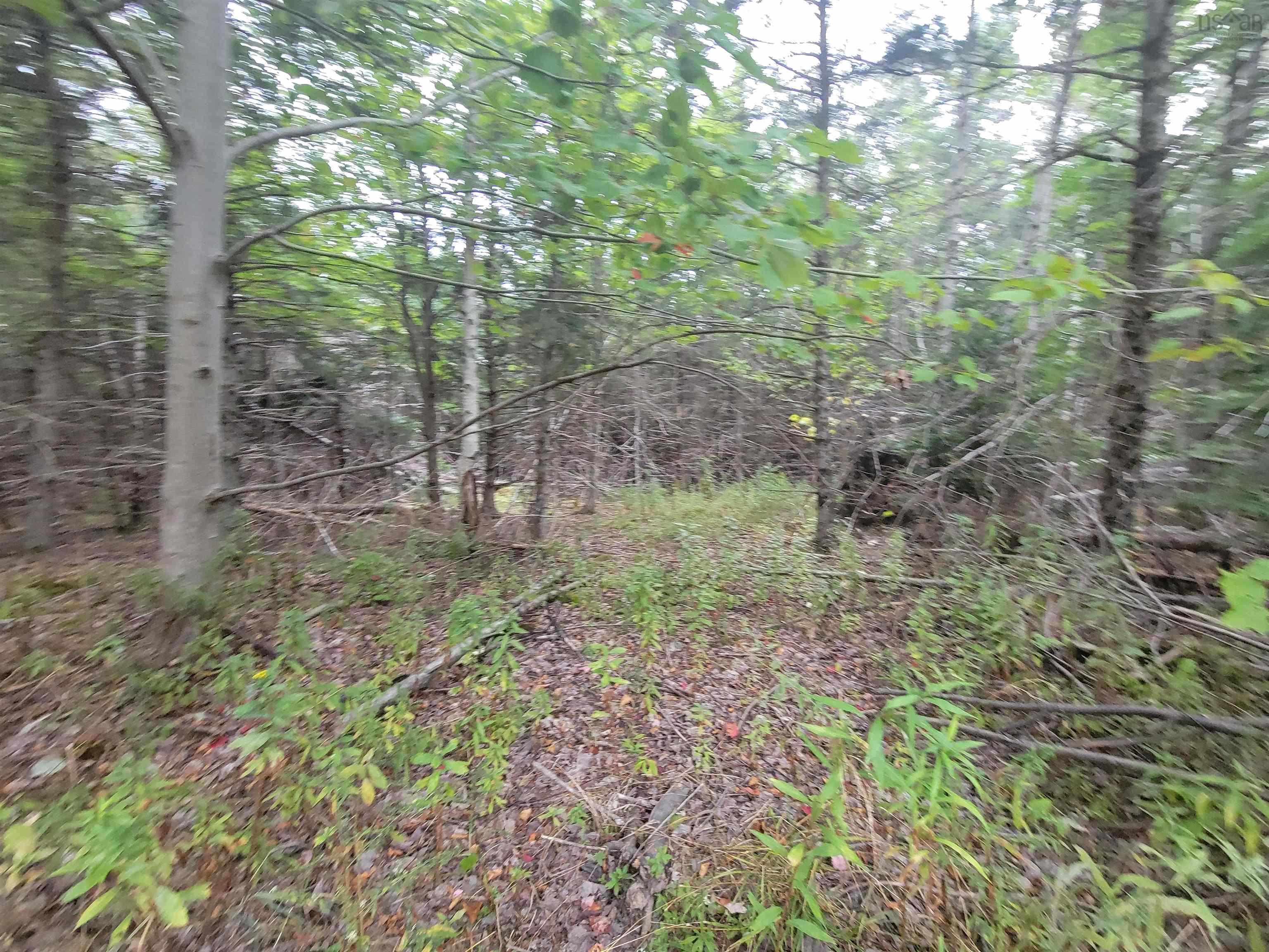 Lot 1 Wilson Road, Upper Rawdon, NS (MLS 202522563)