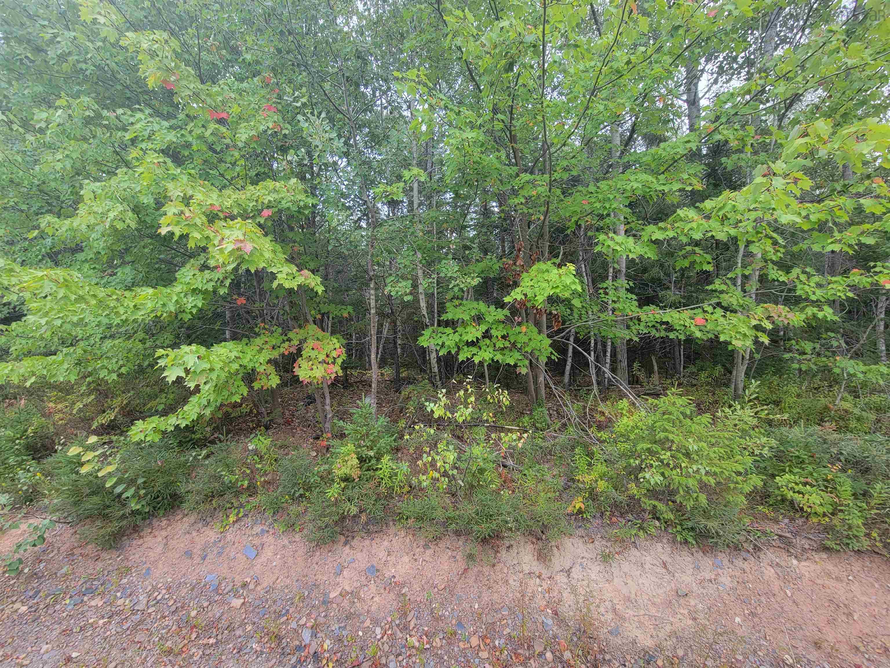 Lot 2 Wilson Road, Upper Rawdon, NS (MLS 202522565)
