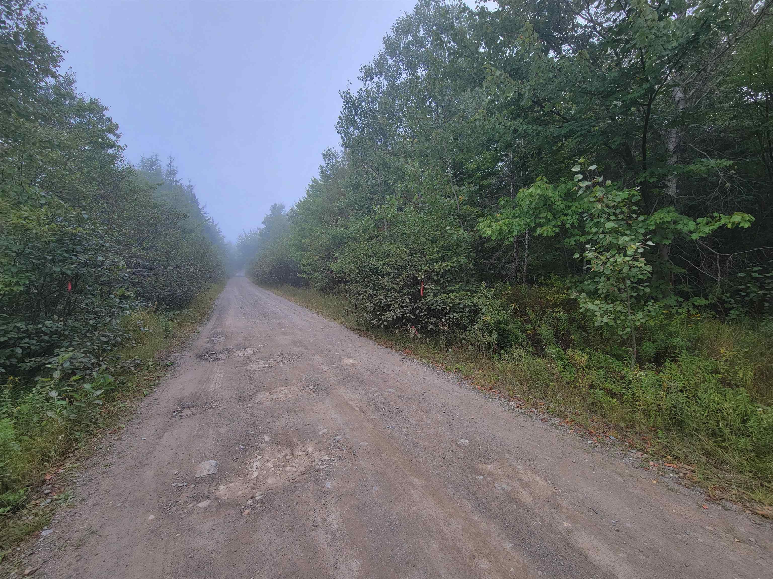 Lot 2 Wilson Road, Upper Rawdon, NS (MLS 202522565)