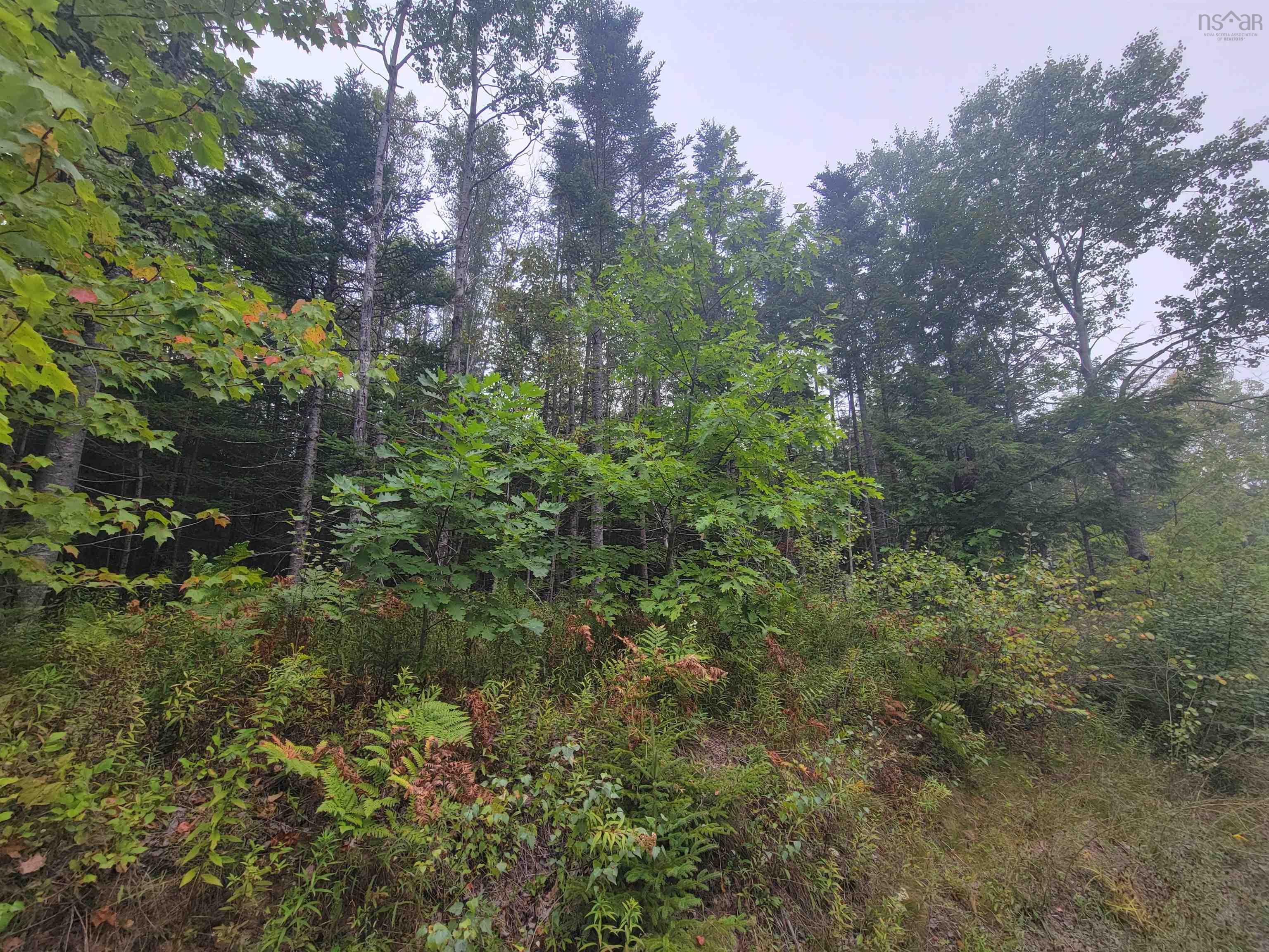 Lot 2 Wilson Road, Upper Rawdon, NS (MLS 202522565)
