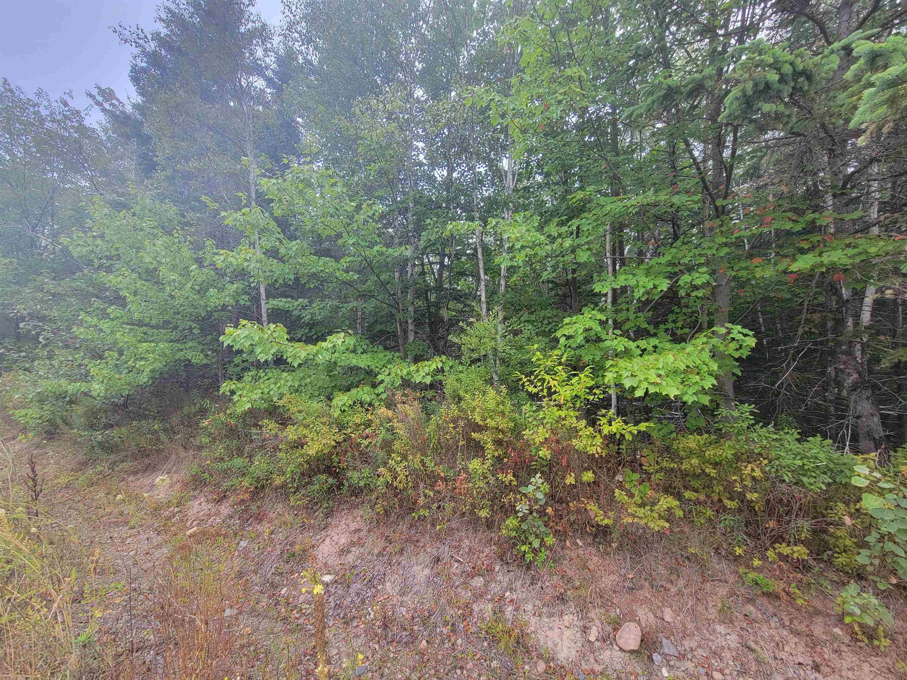 Lot 2 Wilson Road, Upper Rawdon, NS (MLS 202522565)