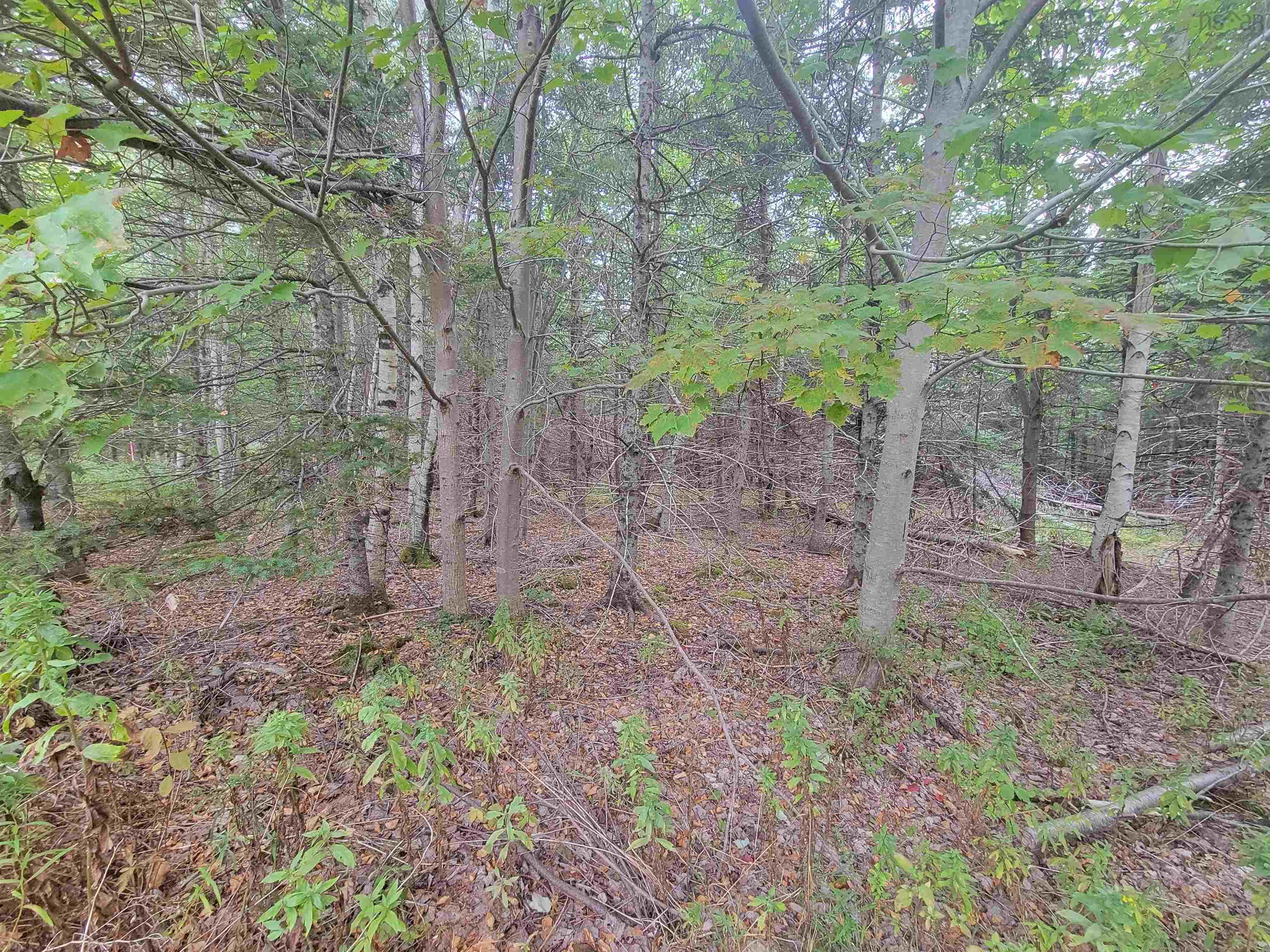 Lot 2 Wilson Road, Upper Rawdon, NS (MLS 202522565)