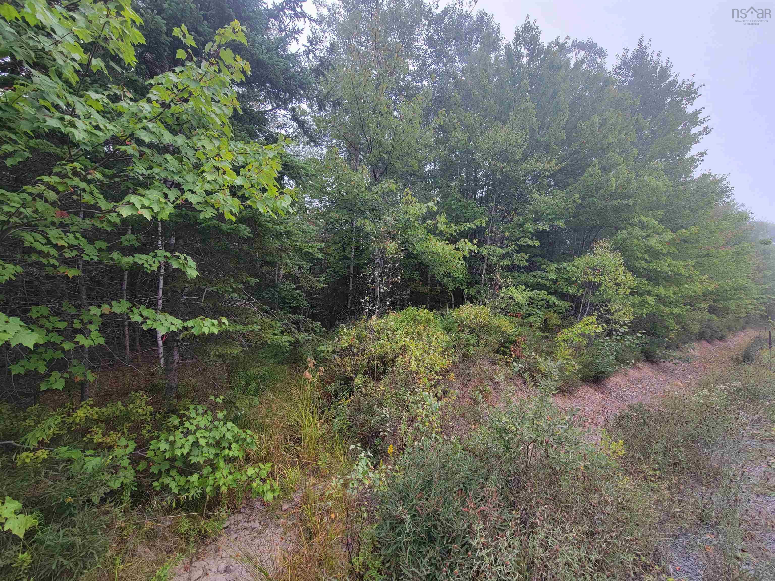 Lot 3 Wilson Drive, Upper Rawdon, NS (MLS 202522566)