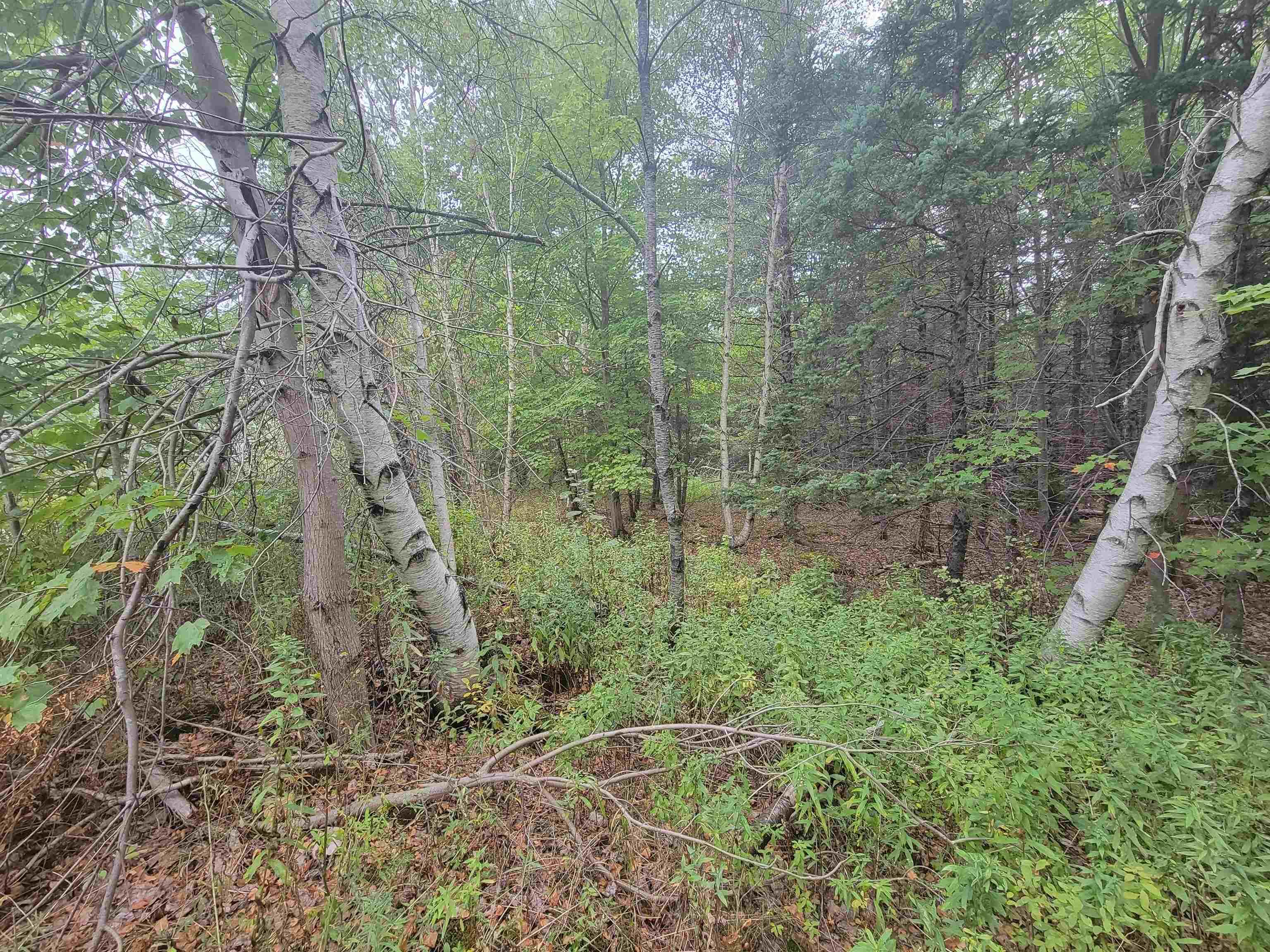 Lot 3 Wilson Drive, Upper Rawdon, NS (MLS 202522566)