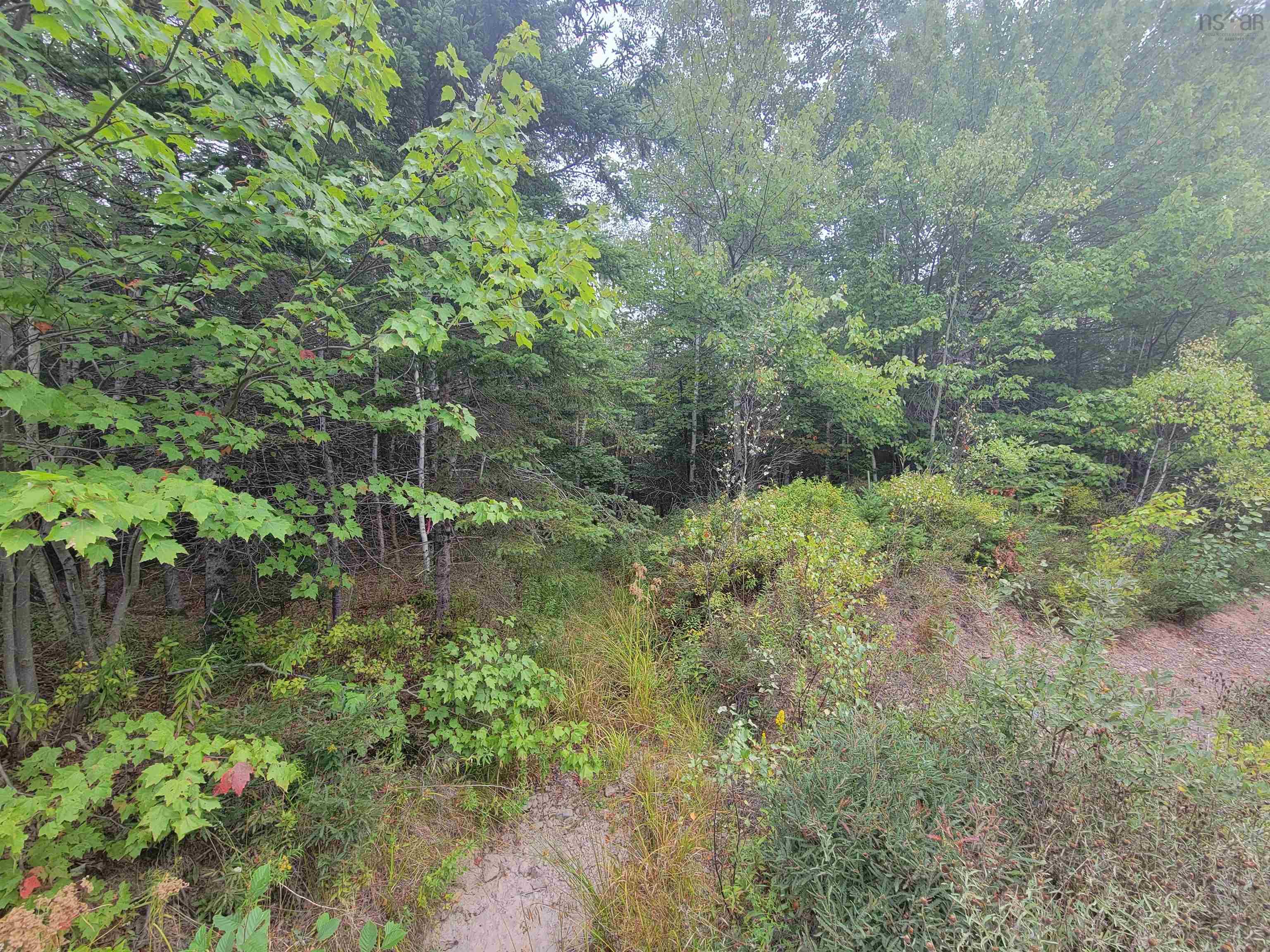Lot 3 Wilson Drive, Upper Rawdon, NS (MLS 202522566)
