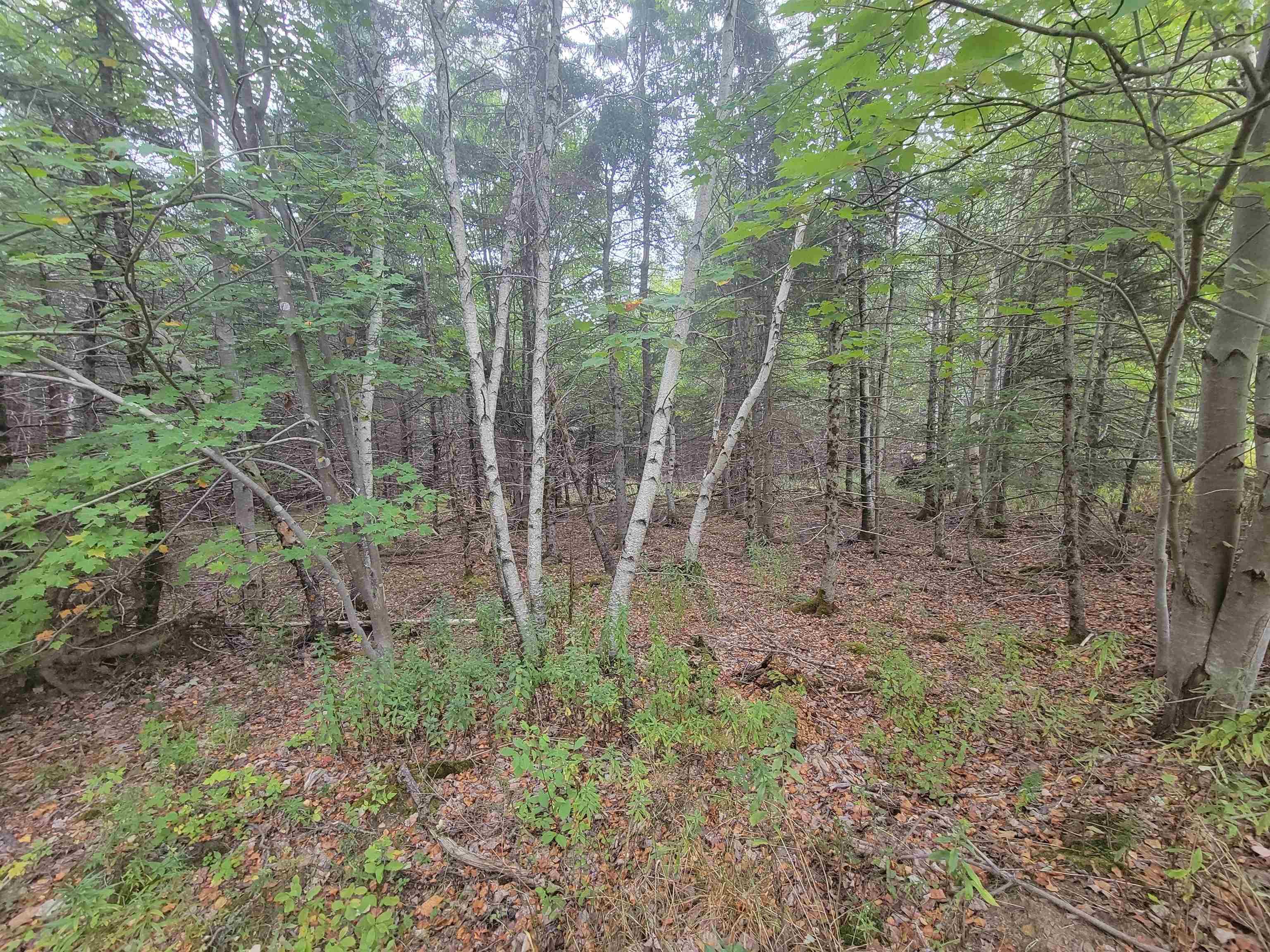 Lot 3 Wilson Drive, Upper Rawdon, NS (MLS 202522566)