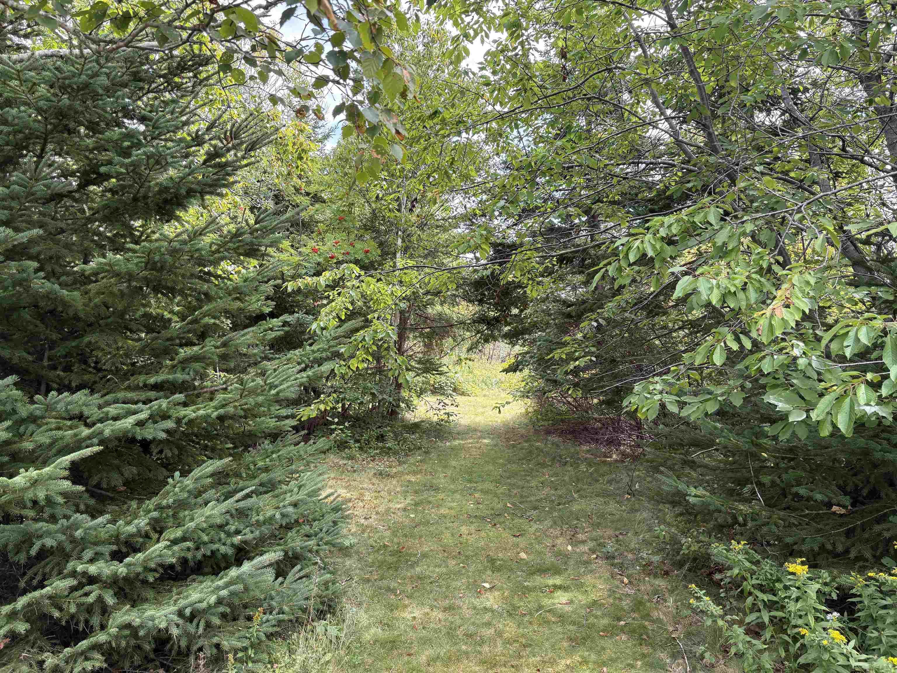 $680,000.00: 3535 HIGHWAY 255, Black Brook