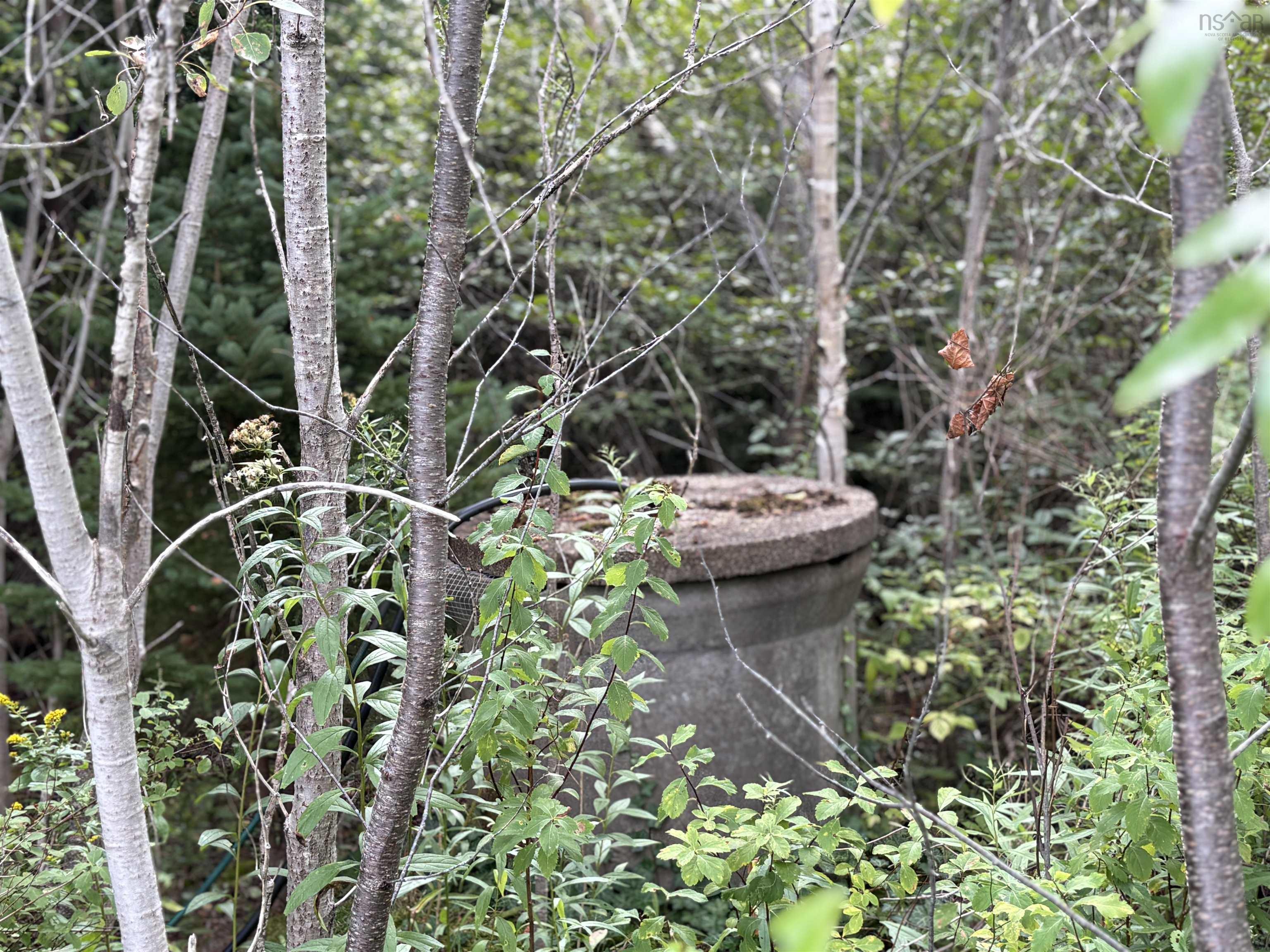 $680,000.00: 3535 HIGHWAY 255, Black Brook