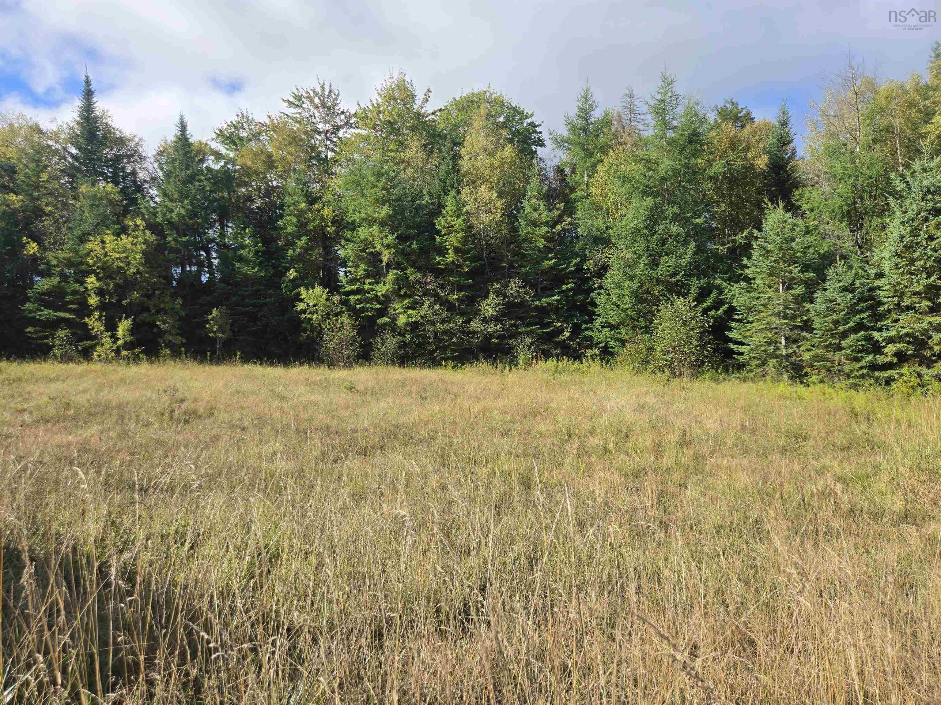 Lot 8 Highway 368, Fountain Road, NS (MLS® 202523360)