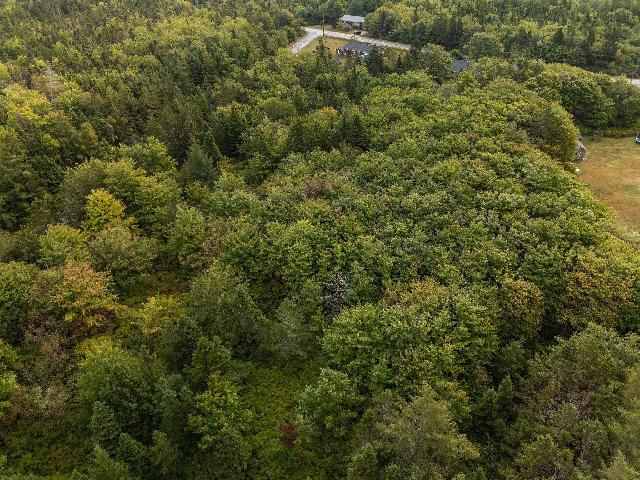 $33,000.00: Lot Bourque Crescent, Sluice Point