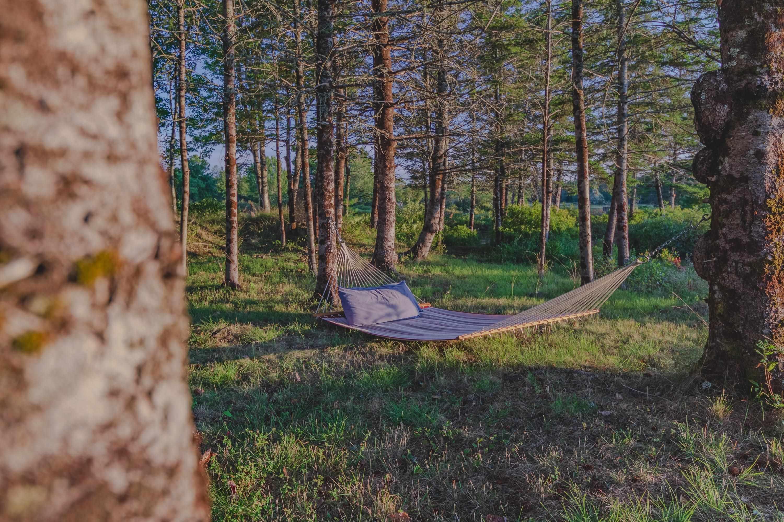 $379,900.00: 7192 Highway 308, Quinan