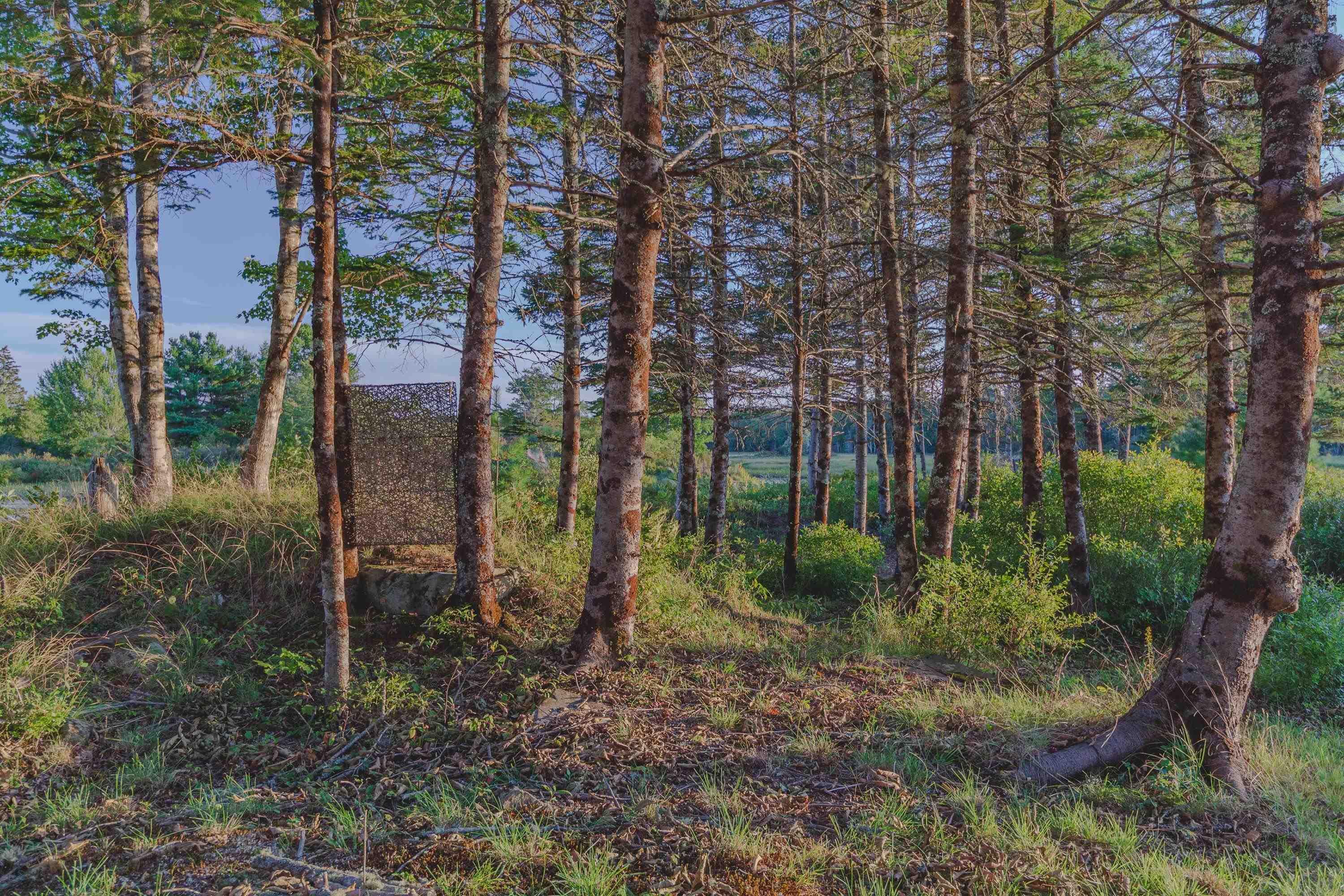 $379,900.00: 7192 Highway 308, Quinan