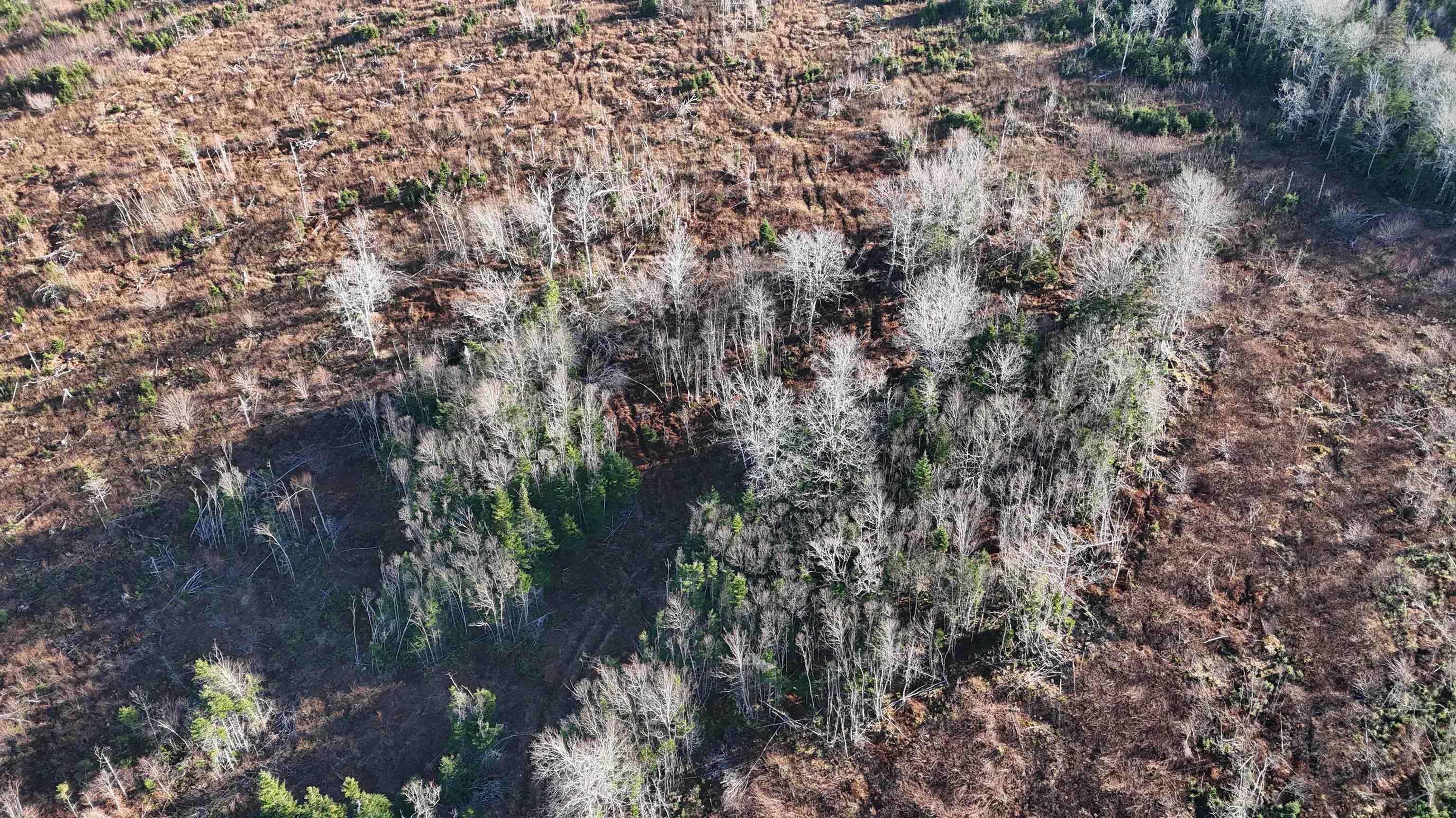 $69,000.00: Salmon River Road, Enon