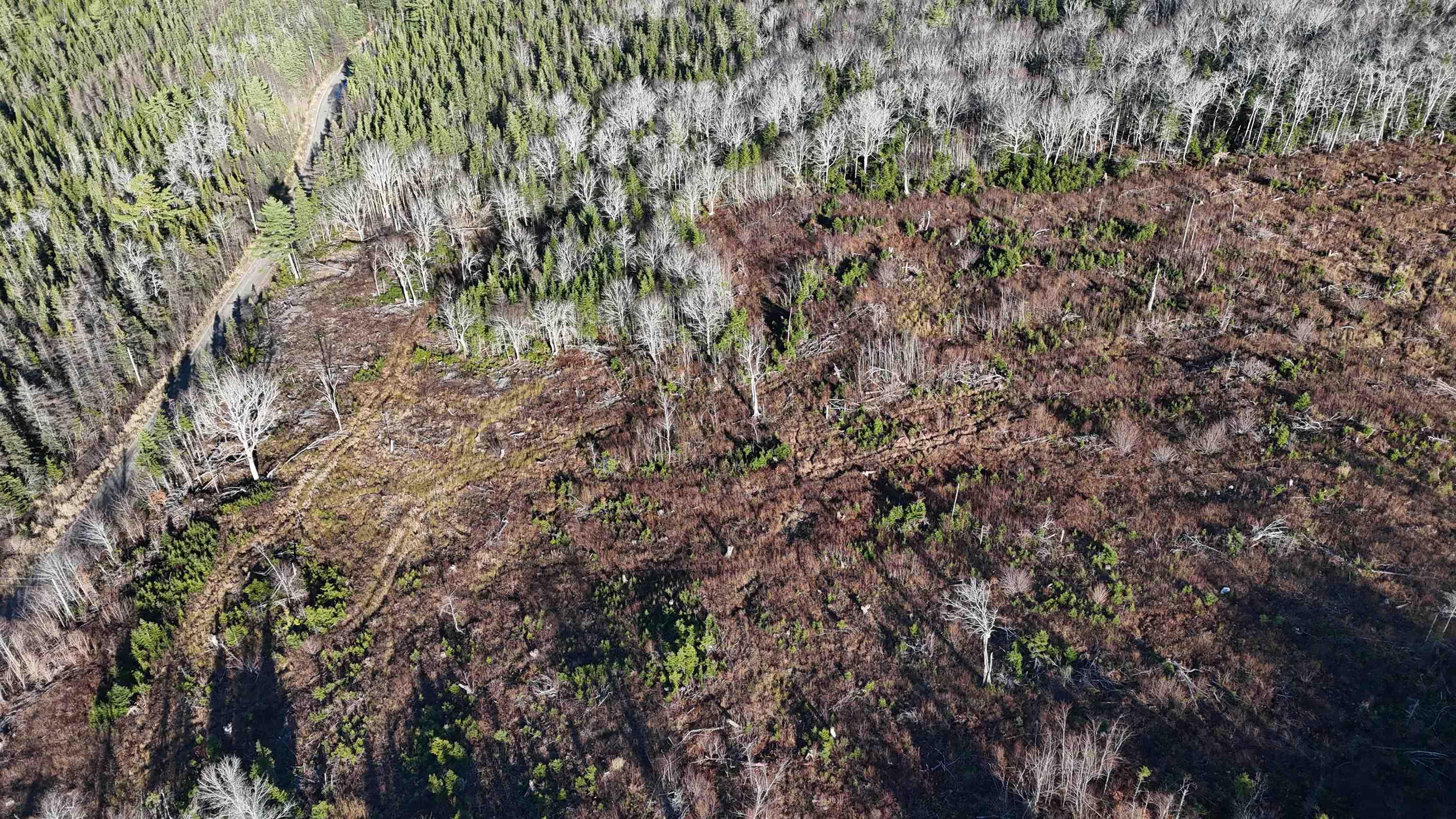 $69,000.00: Salmon River Road, Enon