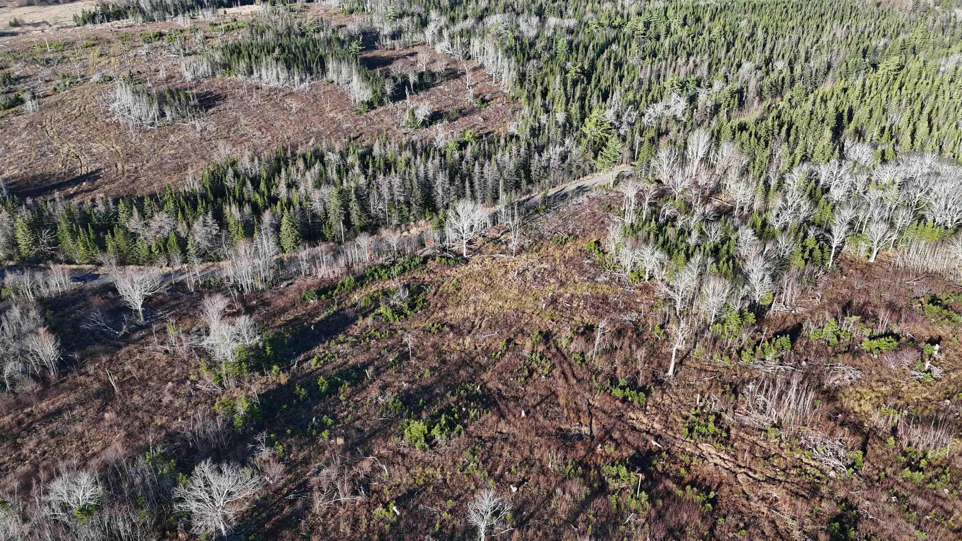 $69,000.00: Salmon River Road, Enon