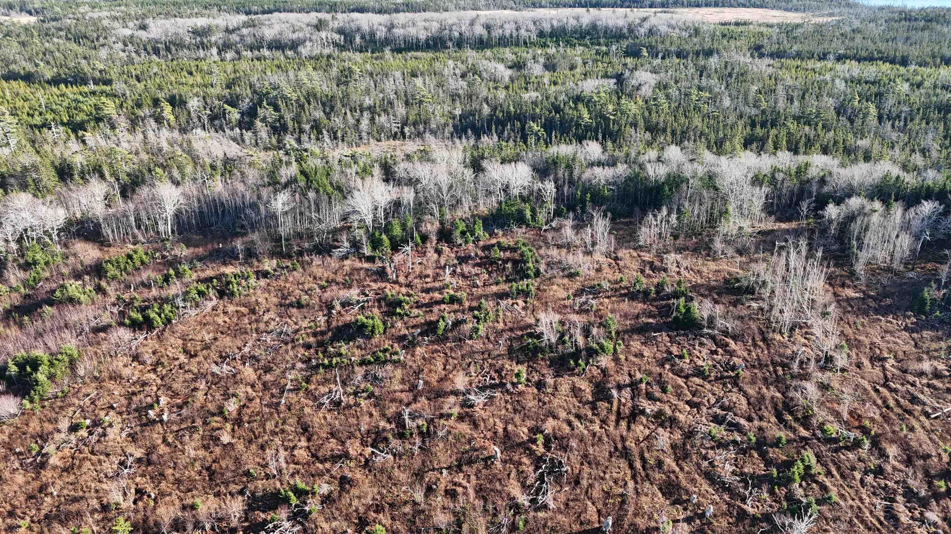 $69,000.00: Salmon River Road, Enon