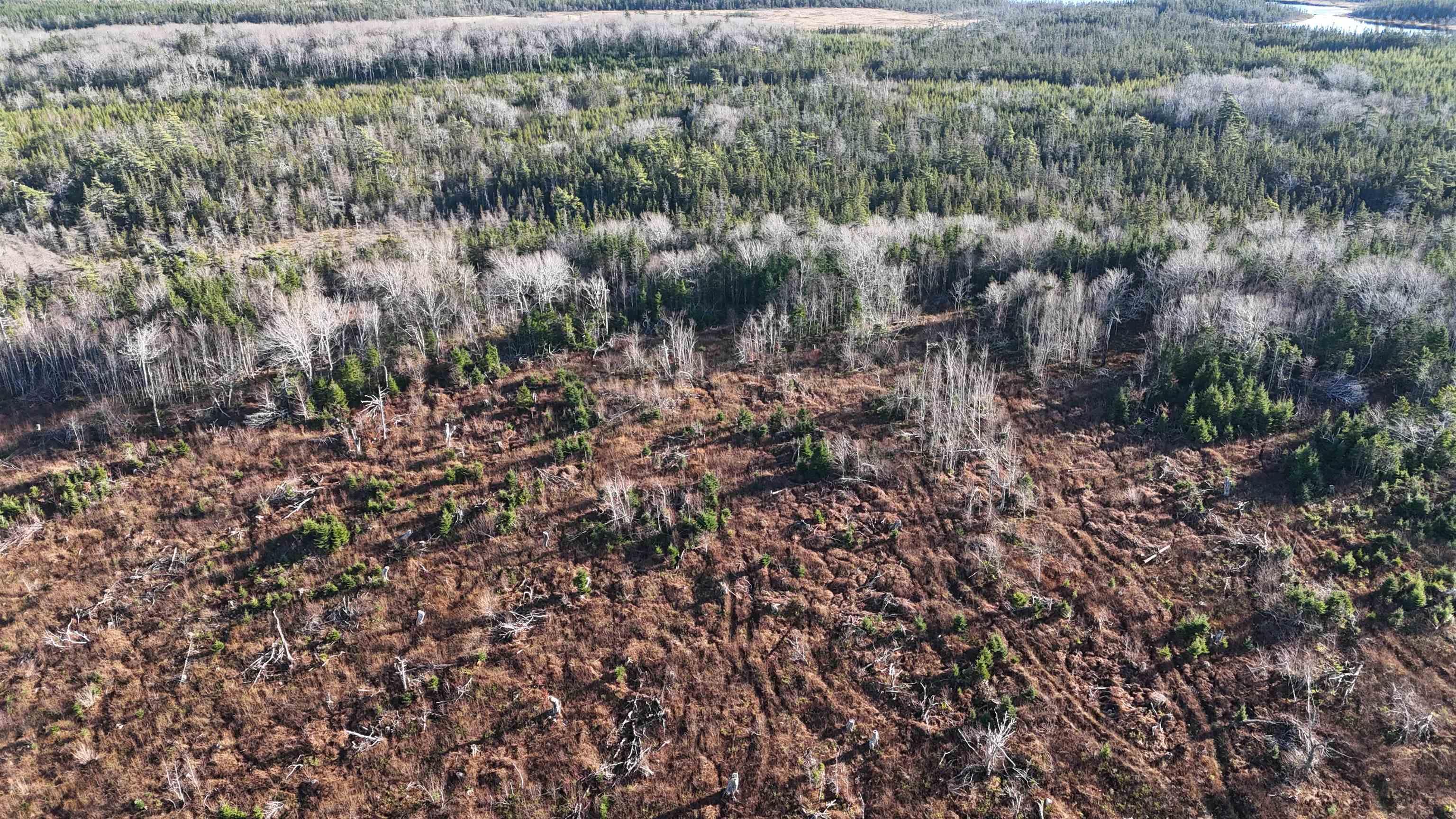 $69,000.00: Salmon River Road, Enon