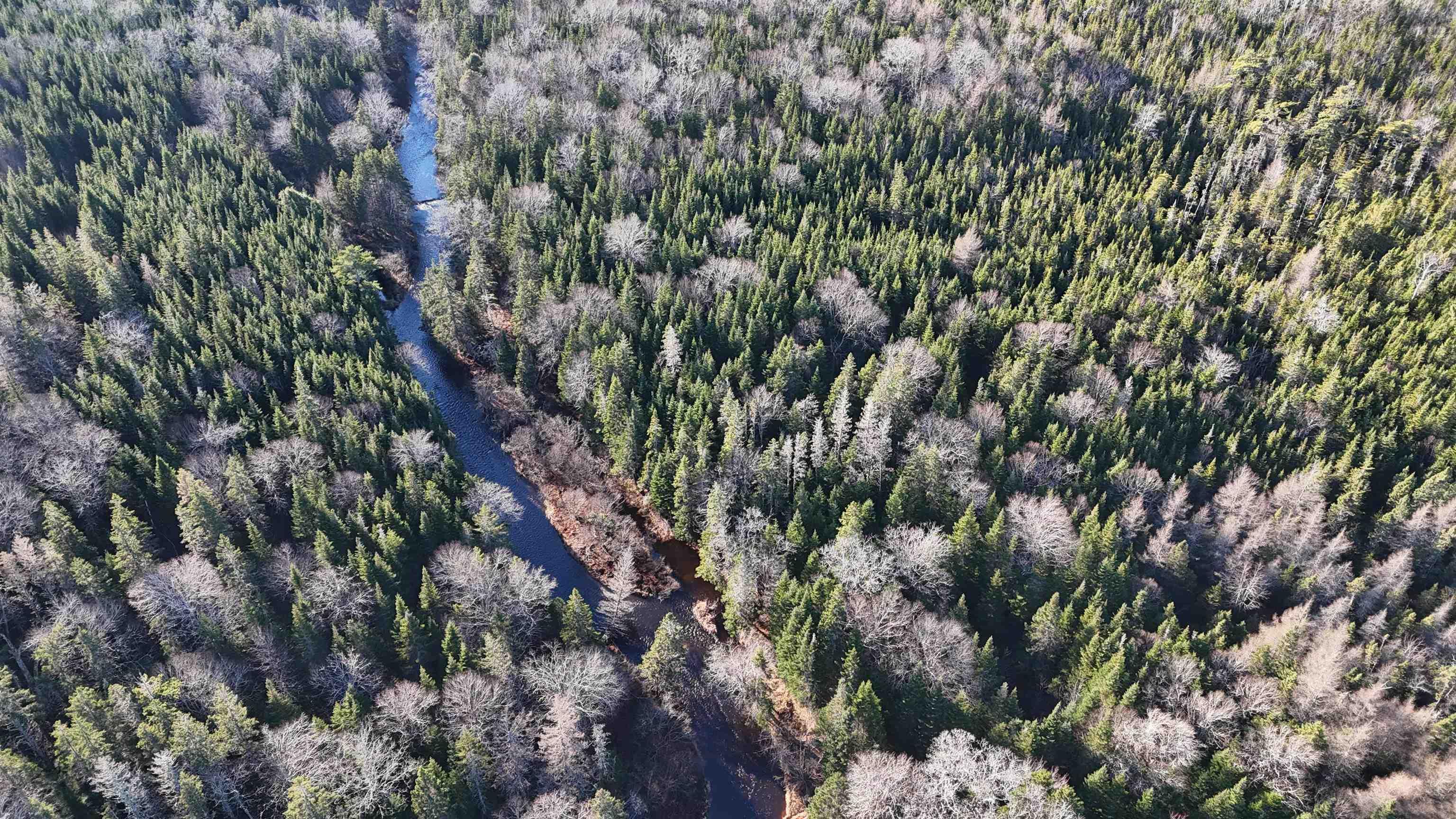 $75,000.00: Salmon River Road, Enon