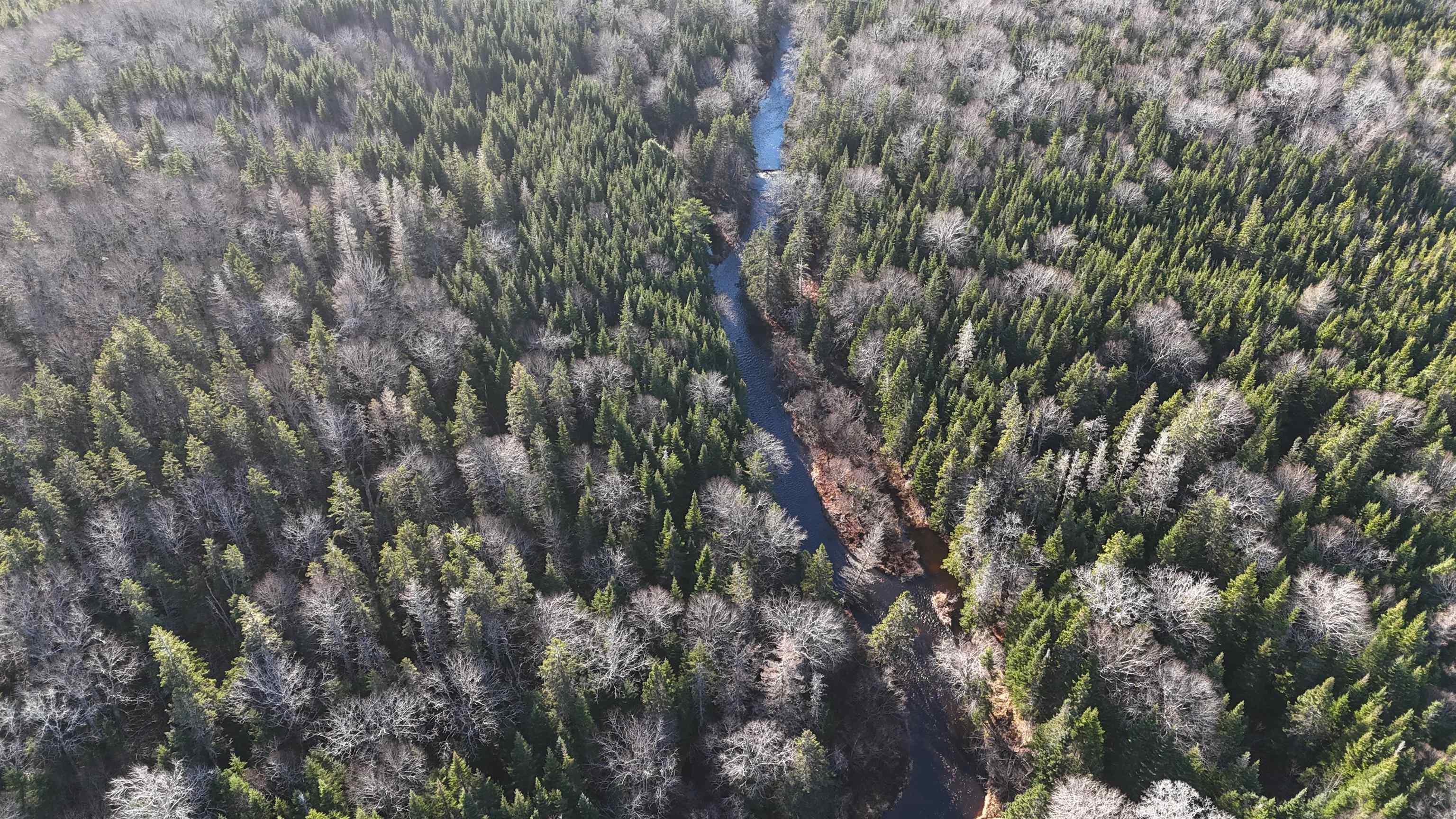 $75,000.00: Salmon River Road, Enon