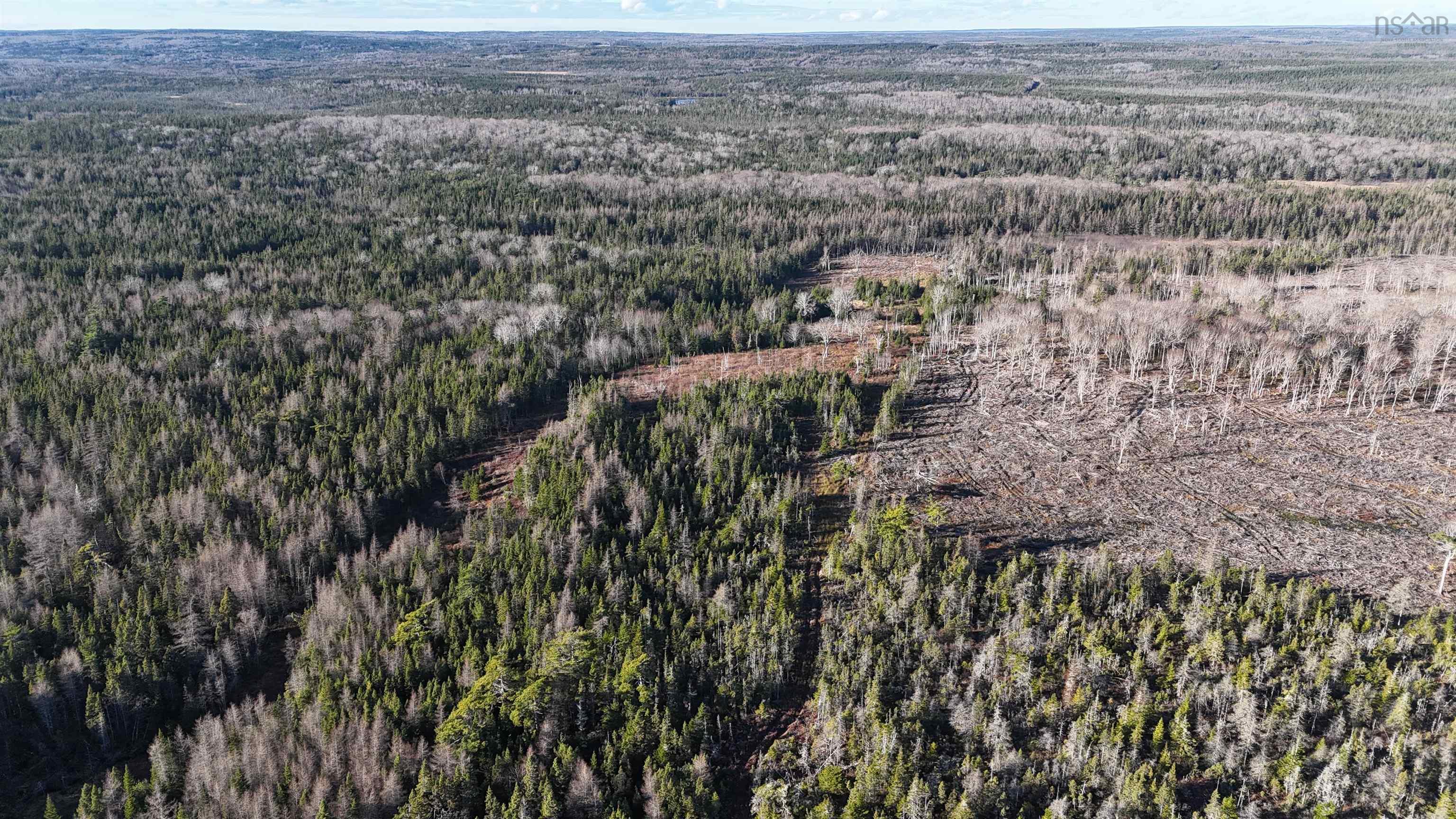 $75,000.00: Salmon River Road, Enon