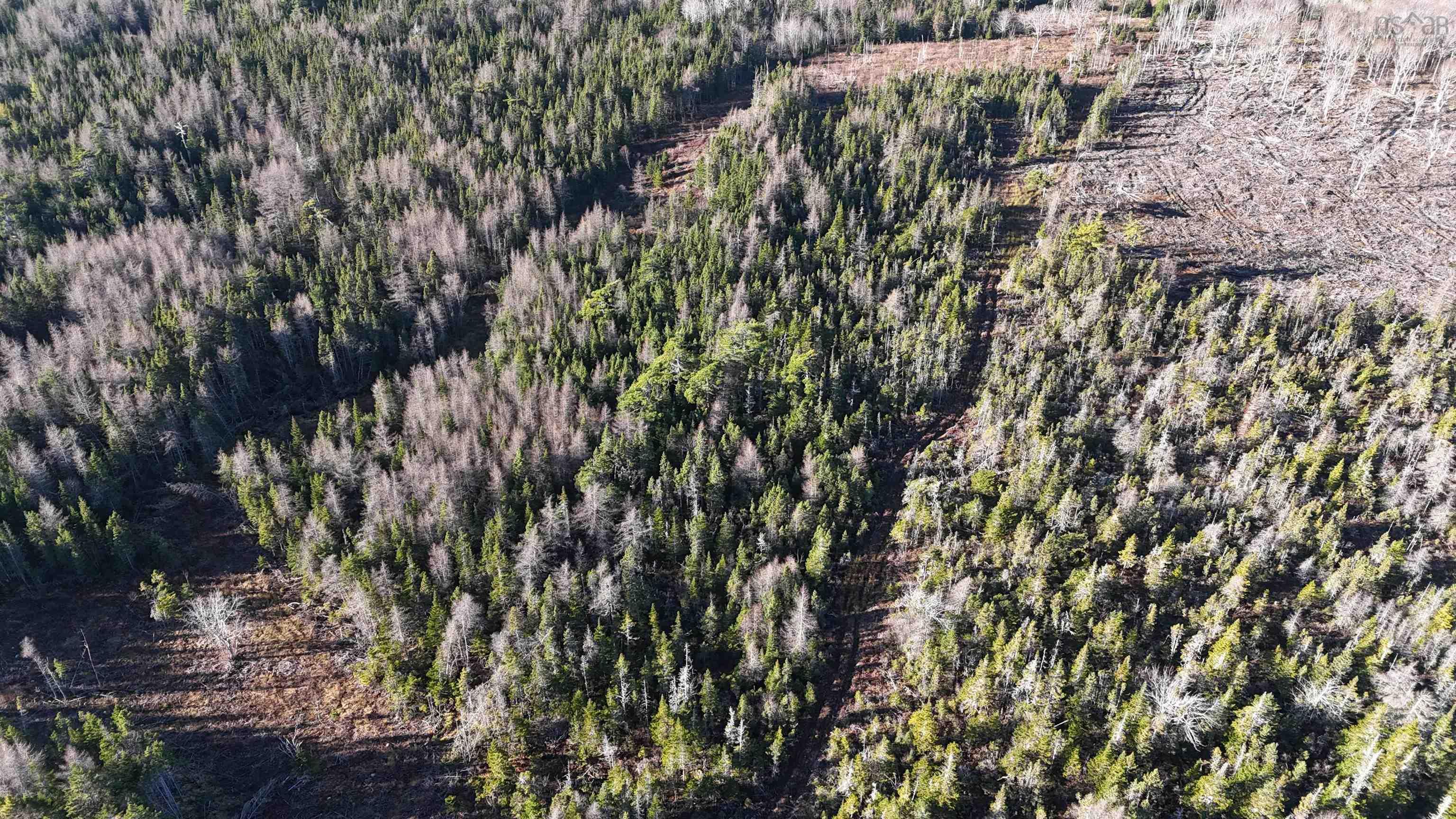 $75,000.00: Salmon River Road, Enon